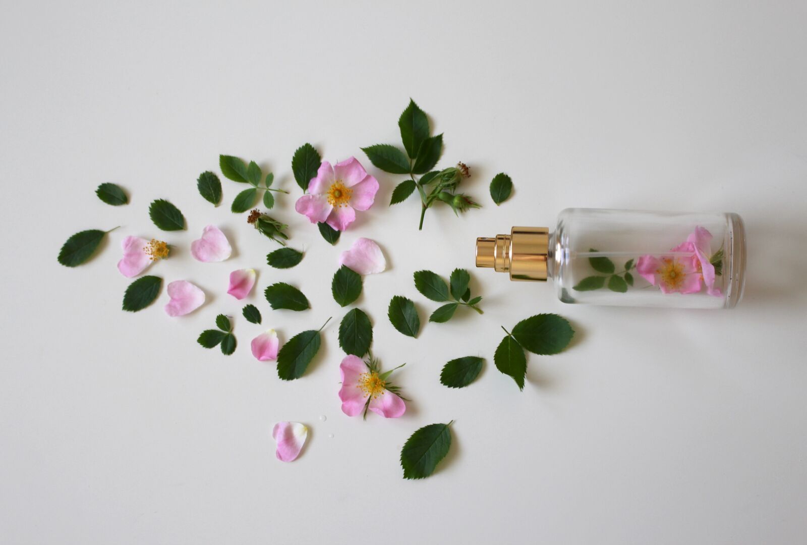 Canon EOS 700D (EOS Rebel T5i / EOS Kiss X7i) sample photo. Scent of roses, perfume photography
