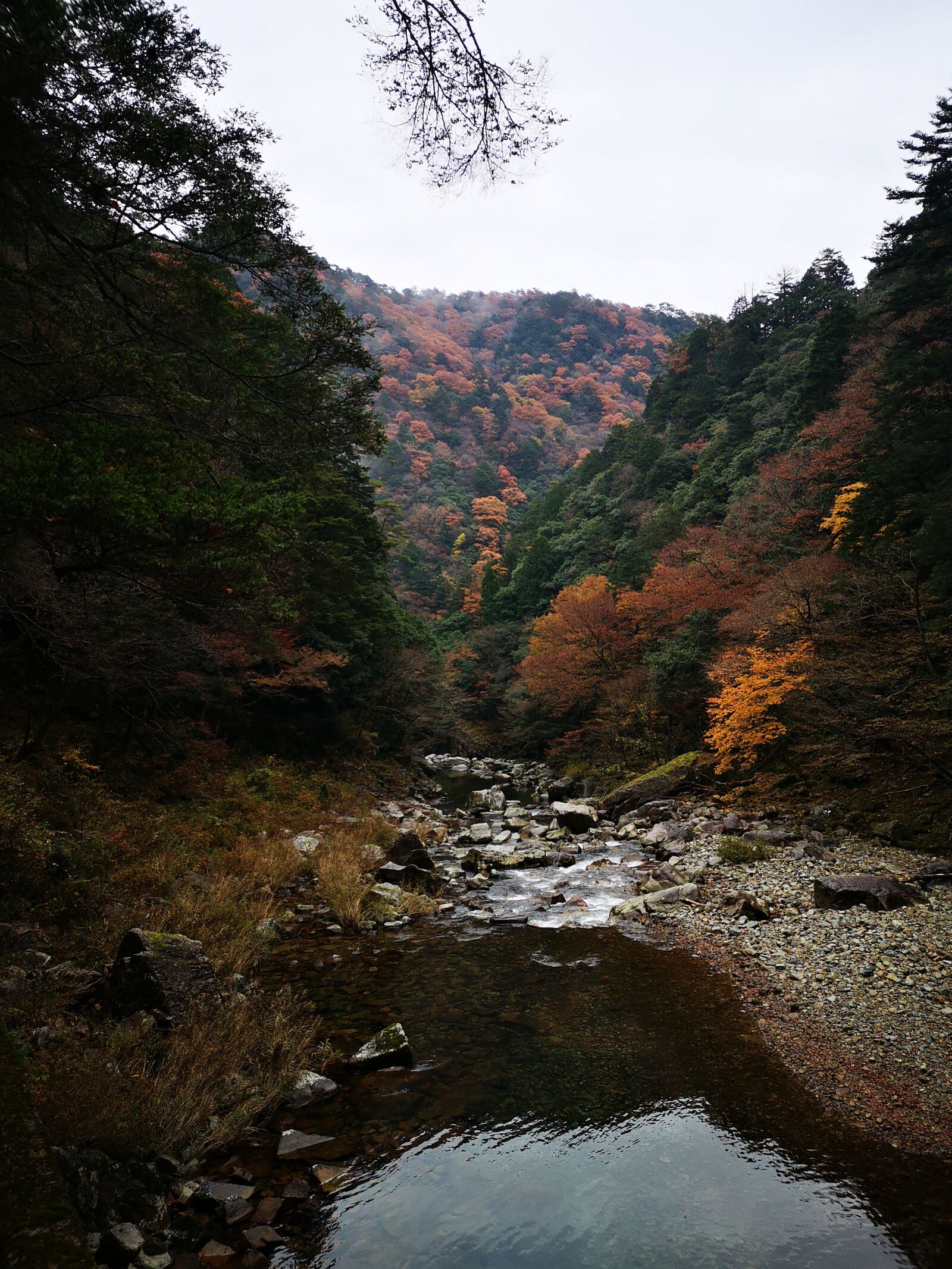 HUAWEI CLT-L29 sample photo