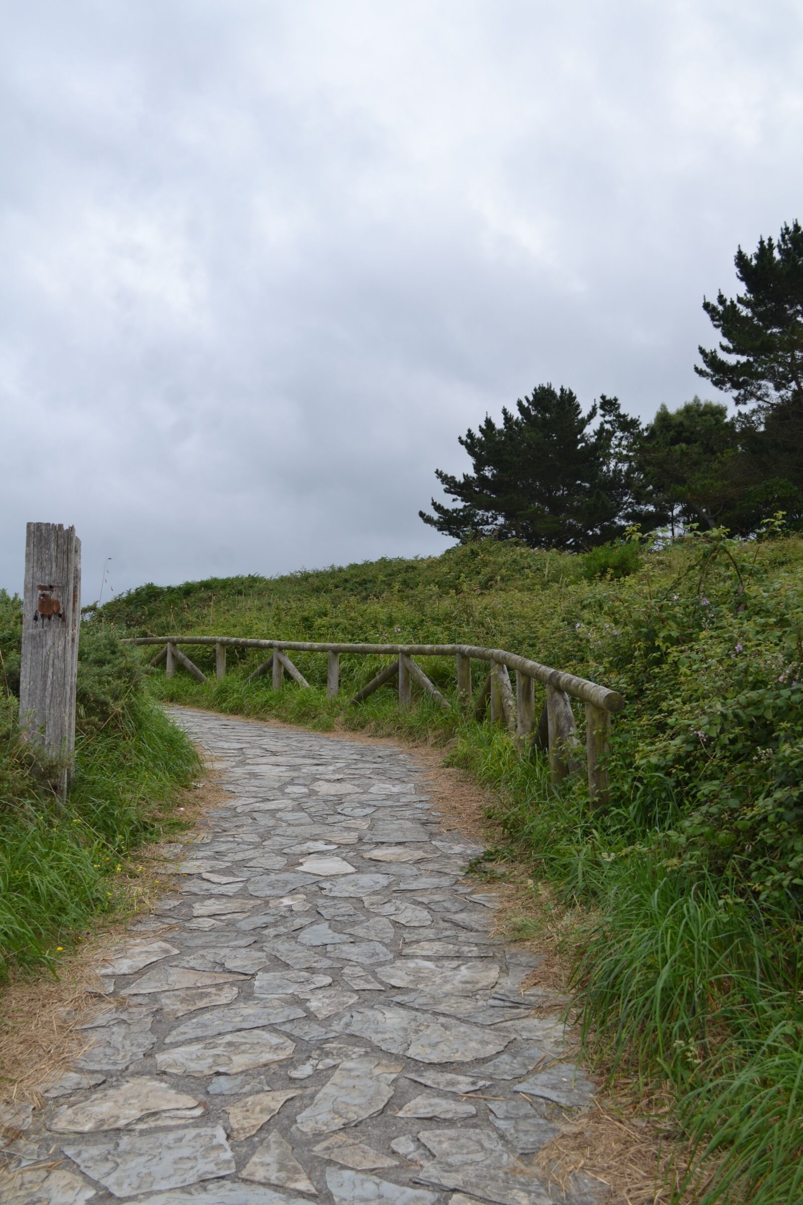 Nikon D3100 sample photo. Nature, trail, path photography