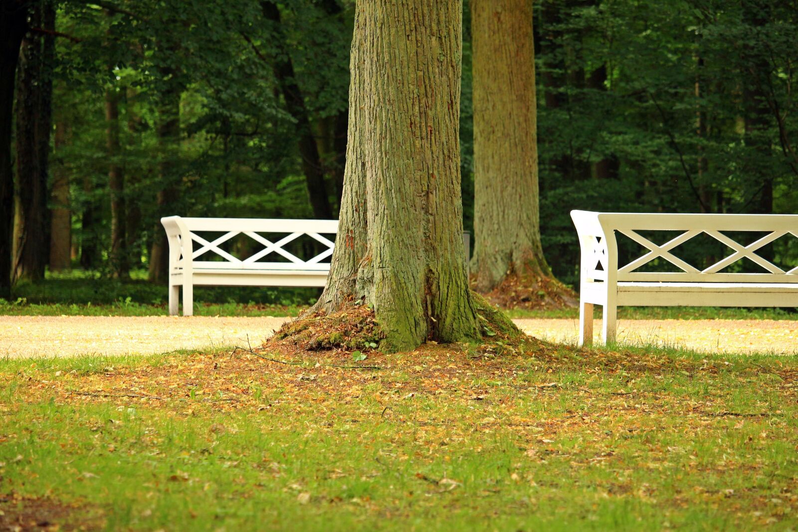 Canon EOS 100D (EOS Rebel SL1 / EOS Kiss X7) sample photo. Bank, castle park, ludwigslust-parchim photography