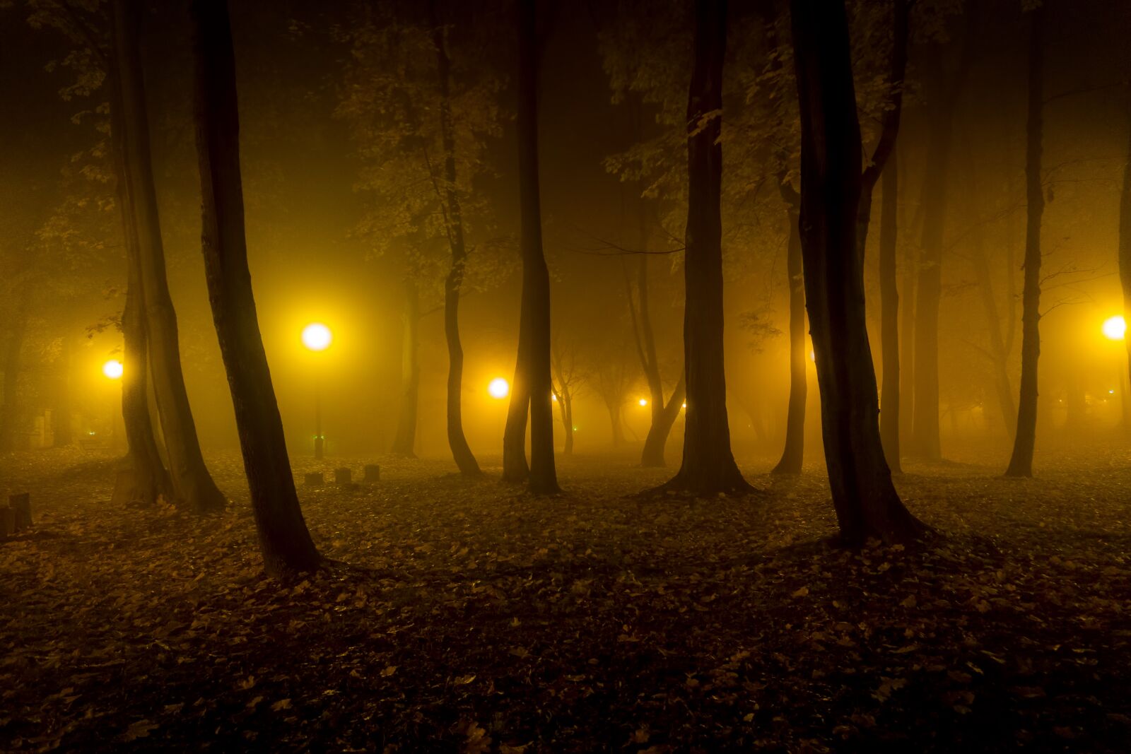 Sony a6000 sample photo. Night, light, the fog photography