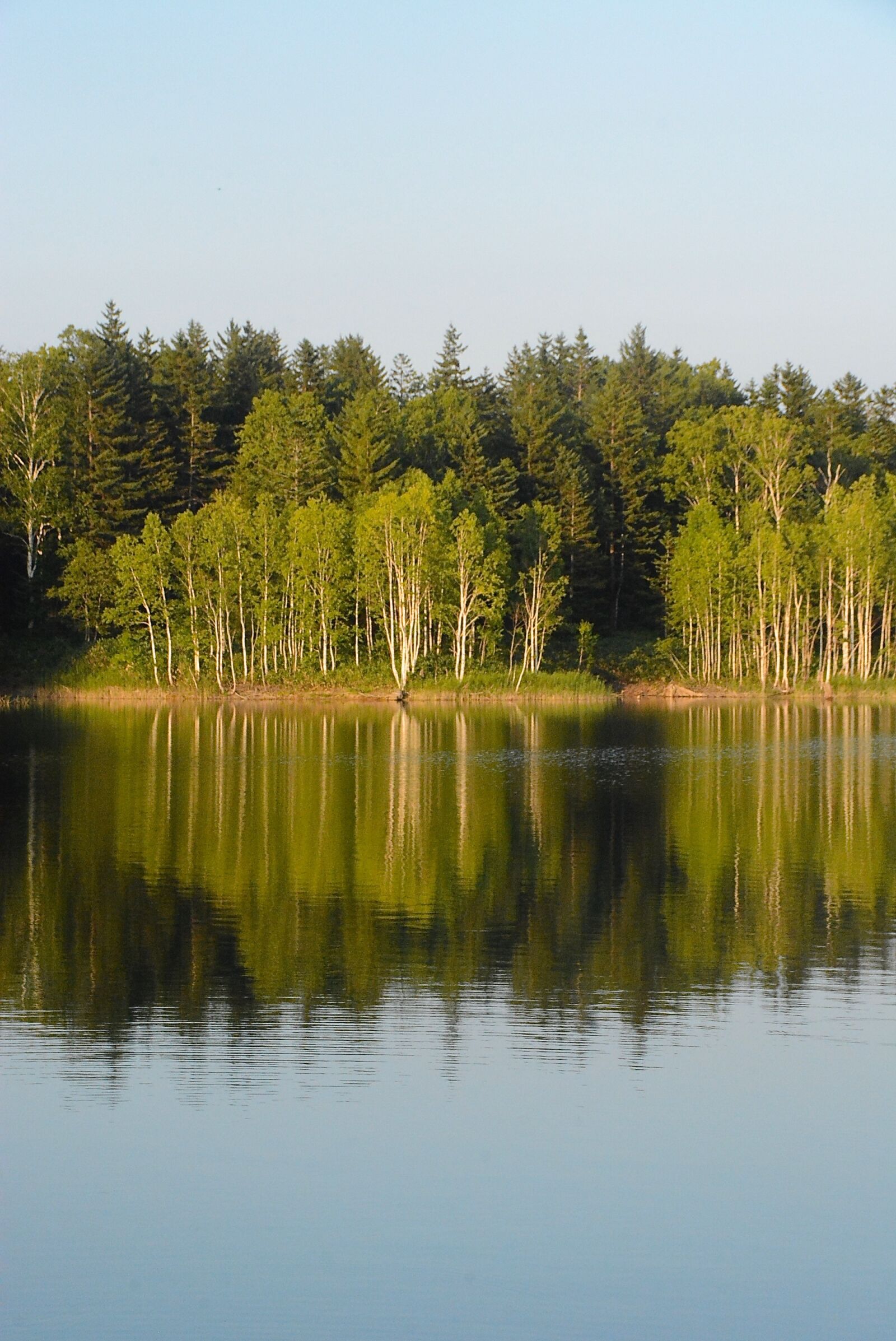 Nikon D7100 sample photo. Natural, waters, any person photography
