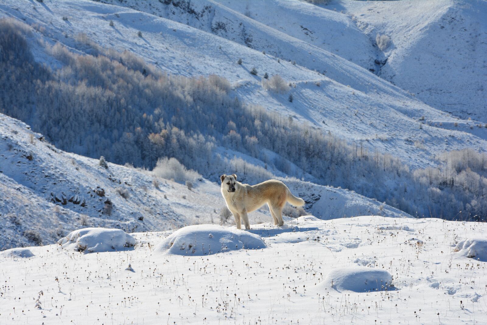 Nikon D7100 sample photo. Turkey, kaçkars, landscape photography