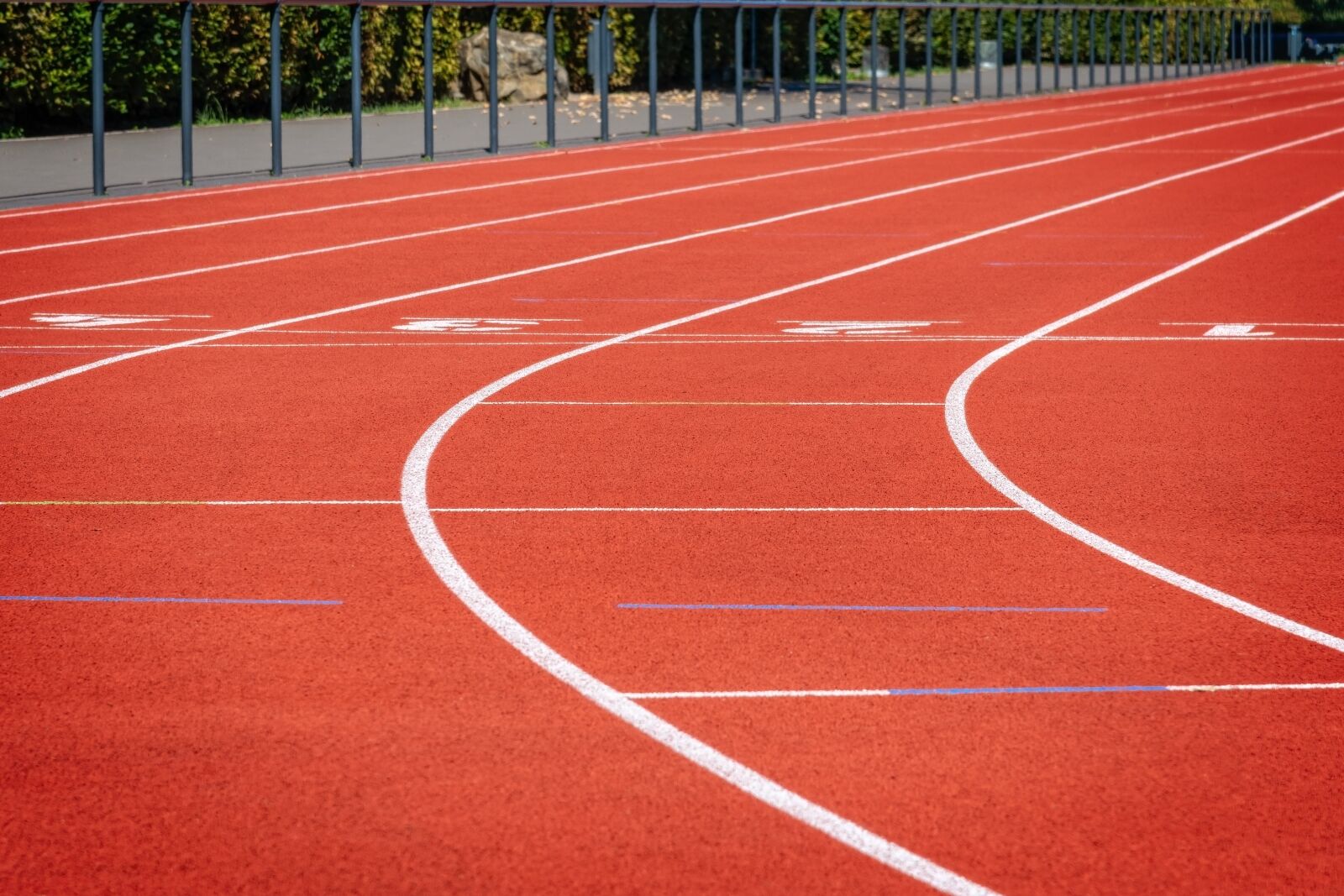 Nikon D3300 sample photo. Athletics, competition, sport photography