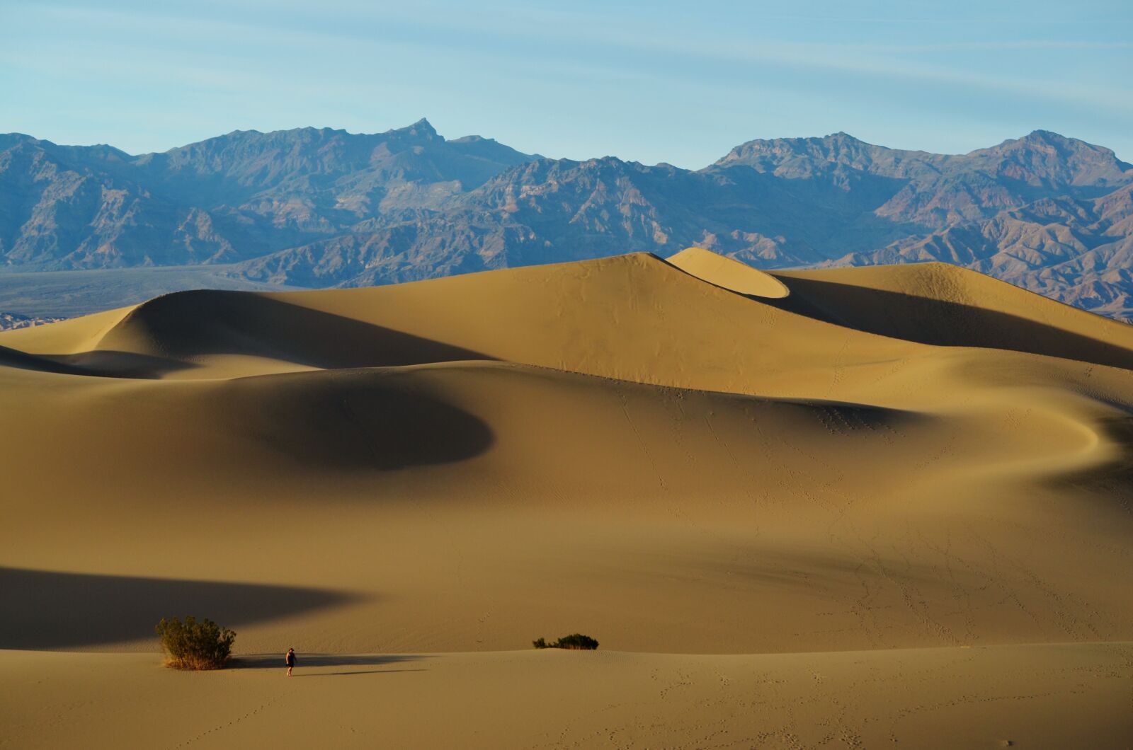 Nikon D5100 sample photo. Mesquite flats, death valley photography