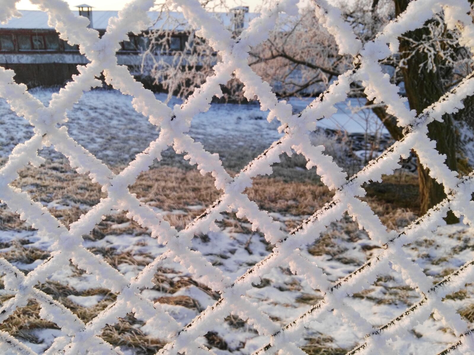 HUAWEI GX8 sample photo. Winter, fence, ice photography