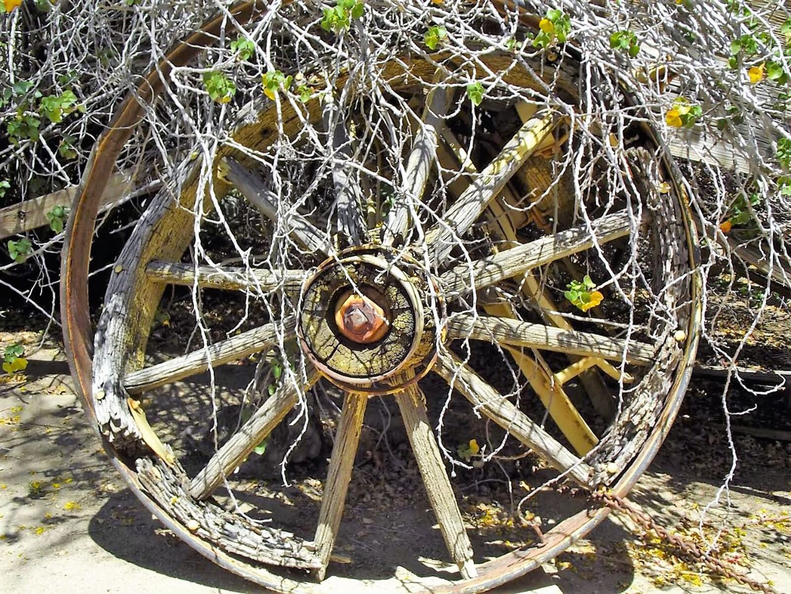 FujiFilm FinePix S2950 (FinePix S2990) sample photo. Wagon, wheel, old photography