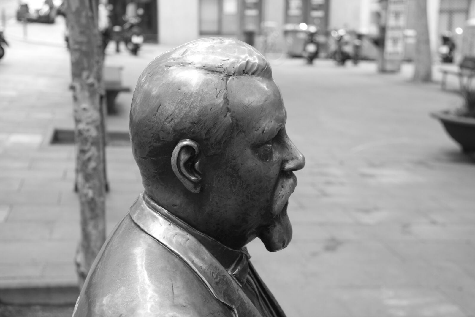 Canon EOS 550D (EOS Rebel T2i / EOS Kiss X4) sample photo. Statue, rovira i trias photography
