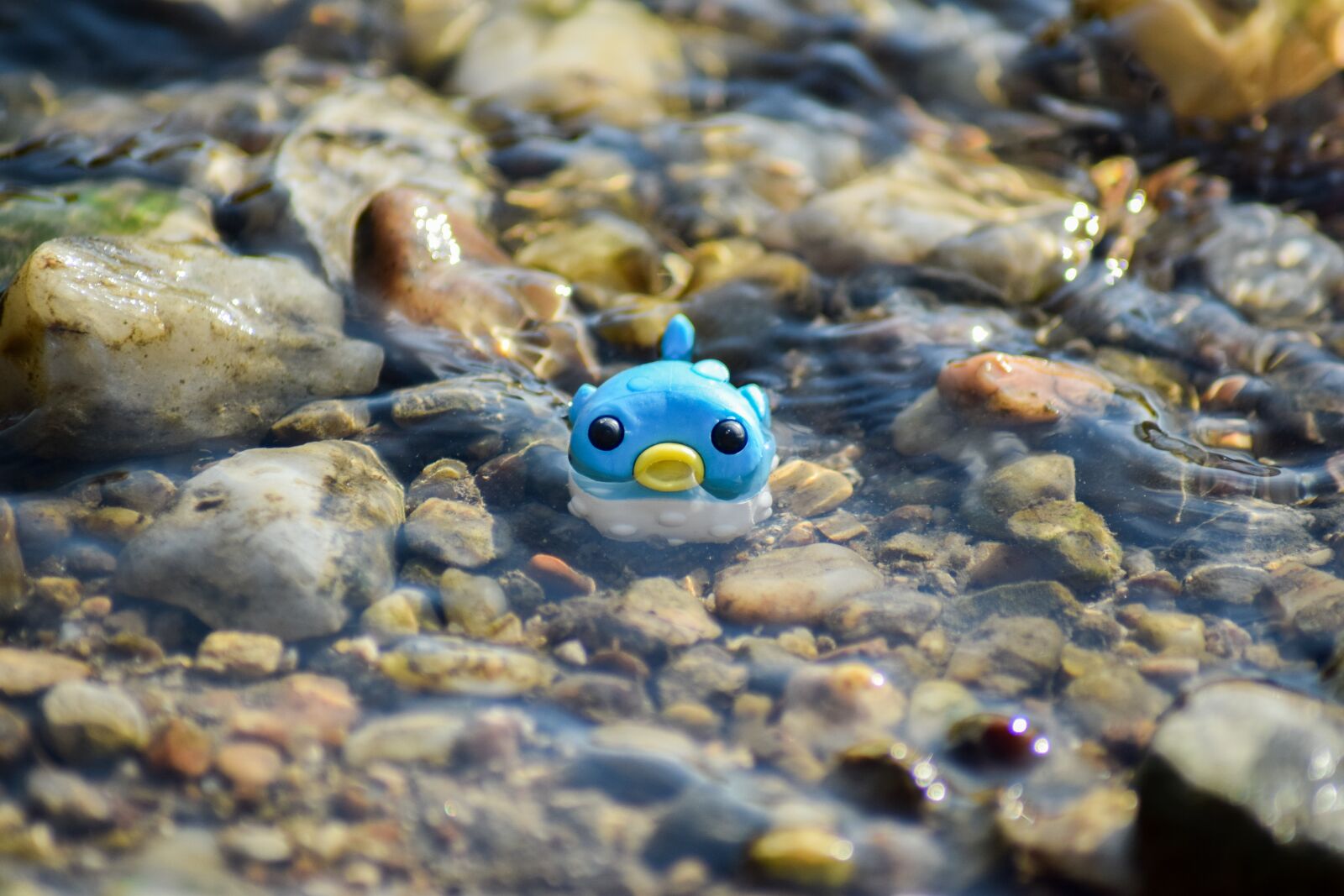 Nikon D5300 sample photo. Puffer fish, water, fish photography