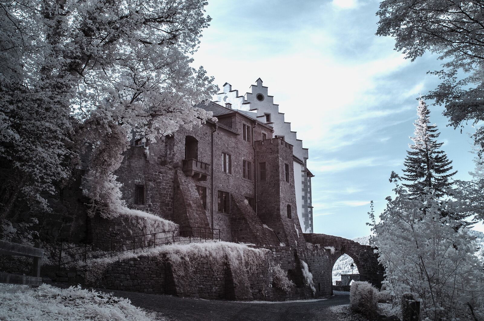 Nikon D300 sample photo. Miltenberg, castle, places of photography