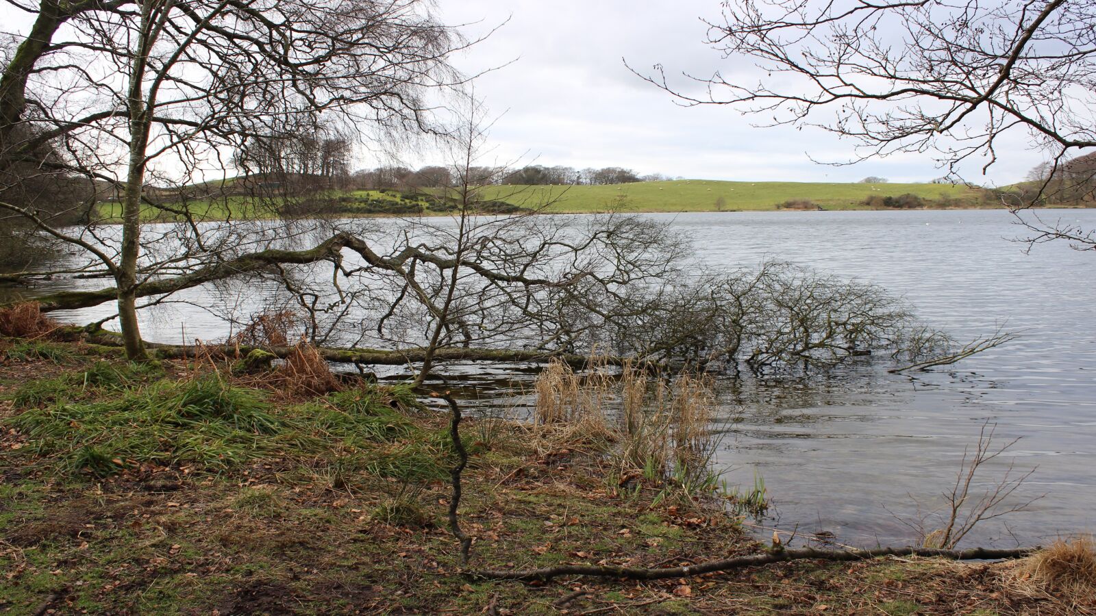 Canon EOS 600D (Rebel EOS T3i / EOS Kiss X5) sample photo. Talkin, tarn, cumbria photography