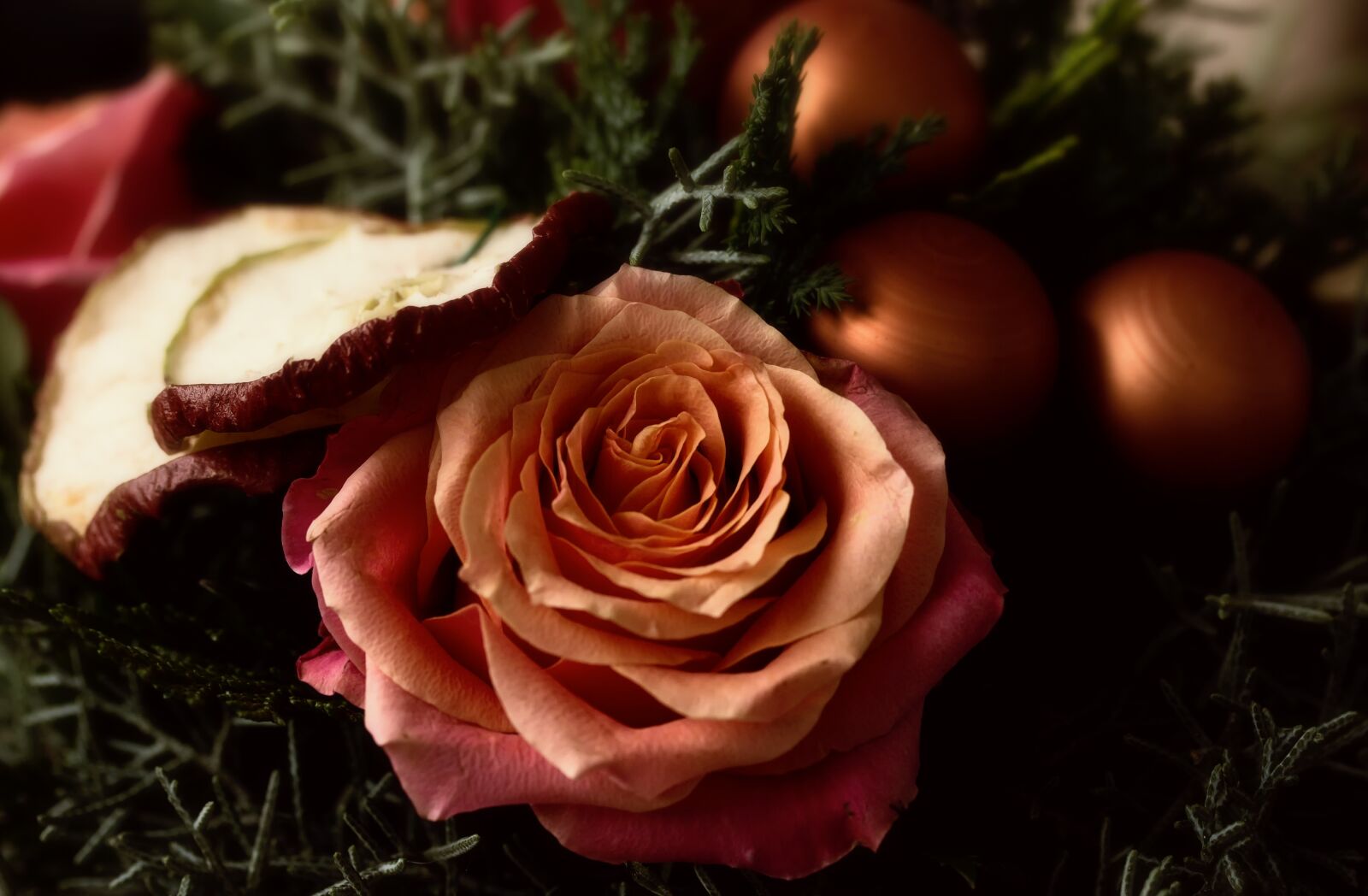 Canon EOS 60D sample photo. Christmas, christmas greeting, christmas photography