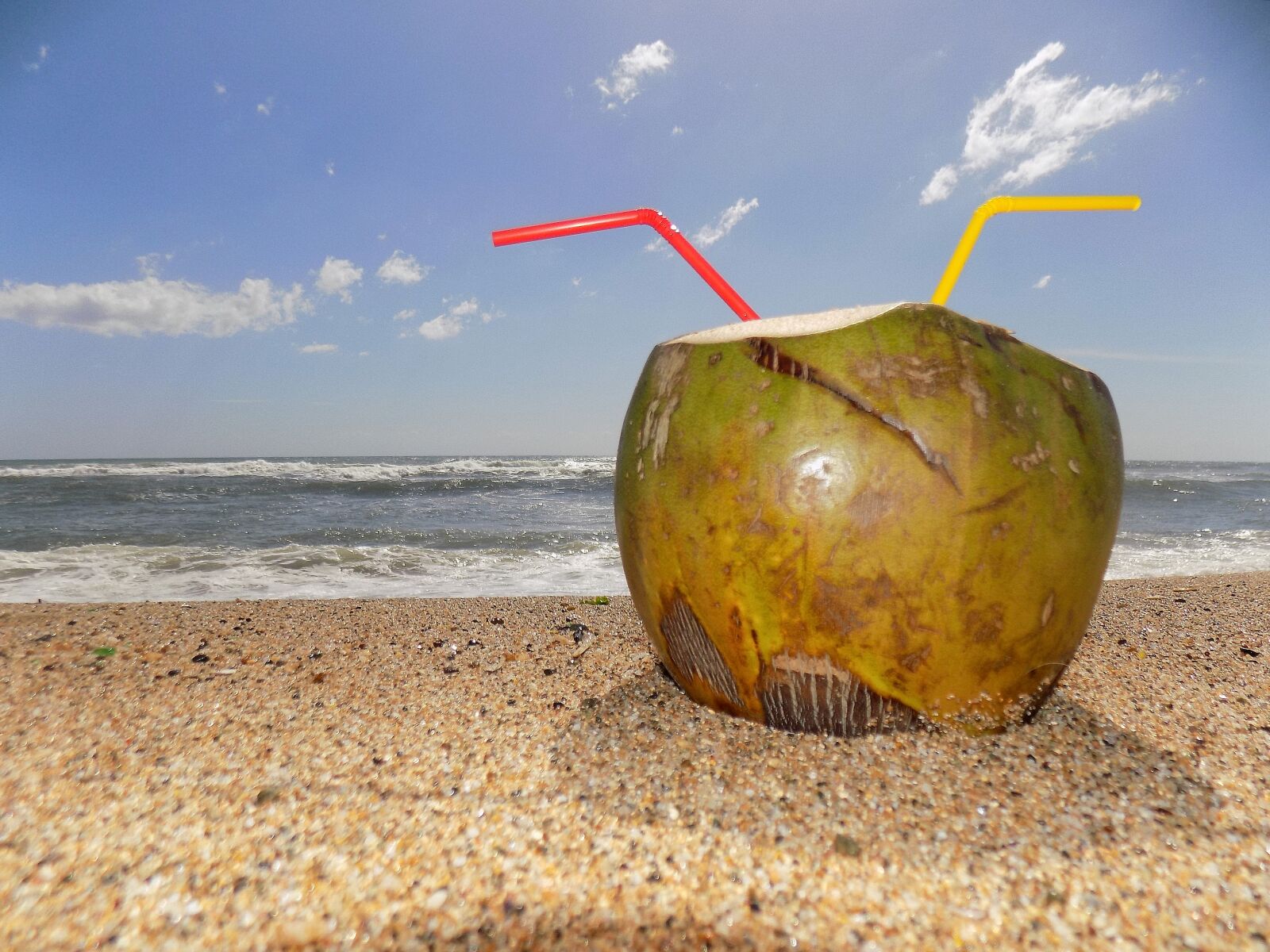 Nikon COOLPIX L330 sample photo. Beach, rest, coconut water photography