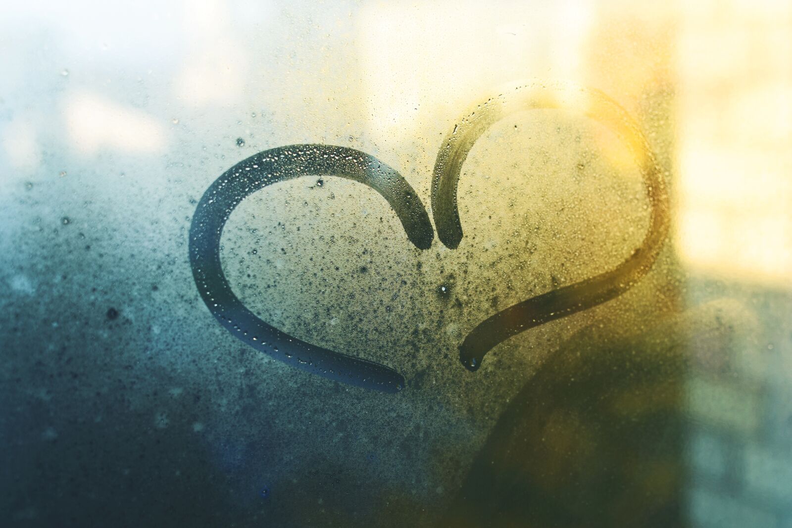 Nikon D7200 sample photo. Valentine's day, heart, romantic photography