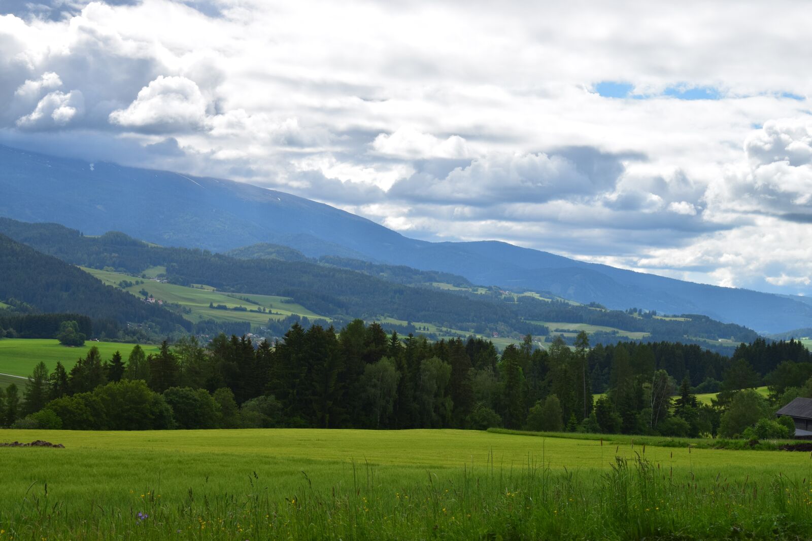 Nikon D3300 sample photo. Nature, panorama-like, landscape photography