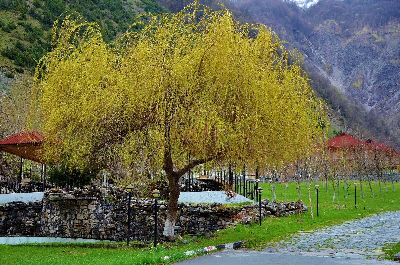 Nikon D7000 sample photo. Country, house, building photography