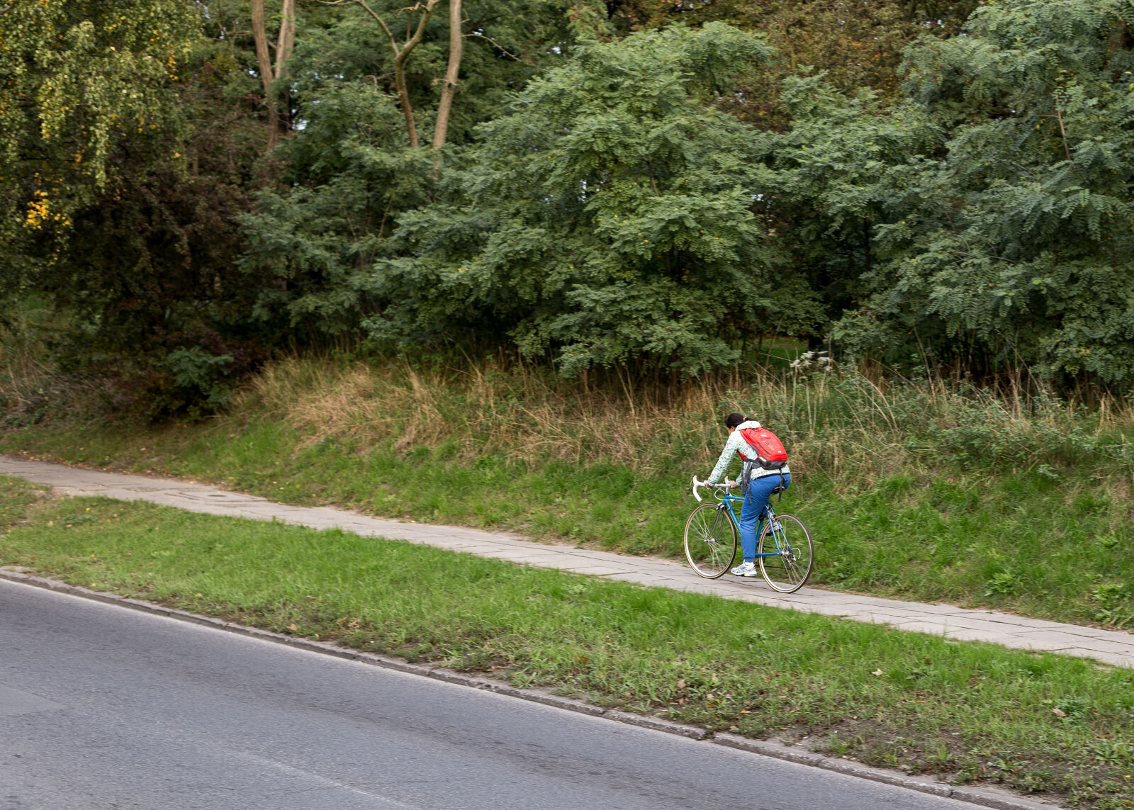 Canon EOS 6D + Canon EF 50mm F1.4 USM sample photo. Bicycle, bike, cyclist, girl photography