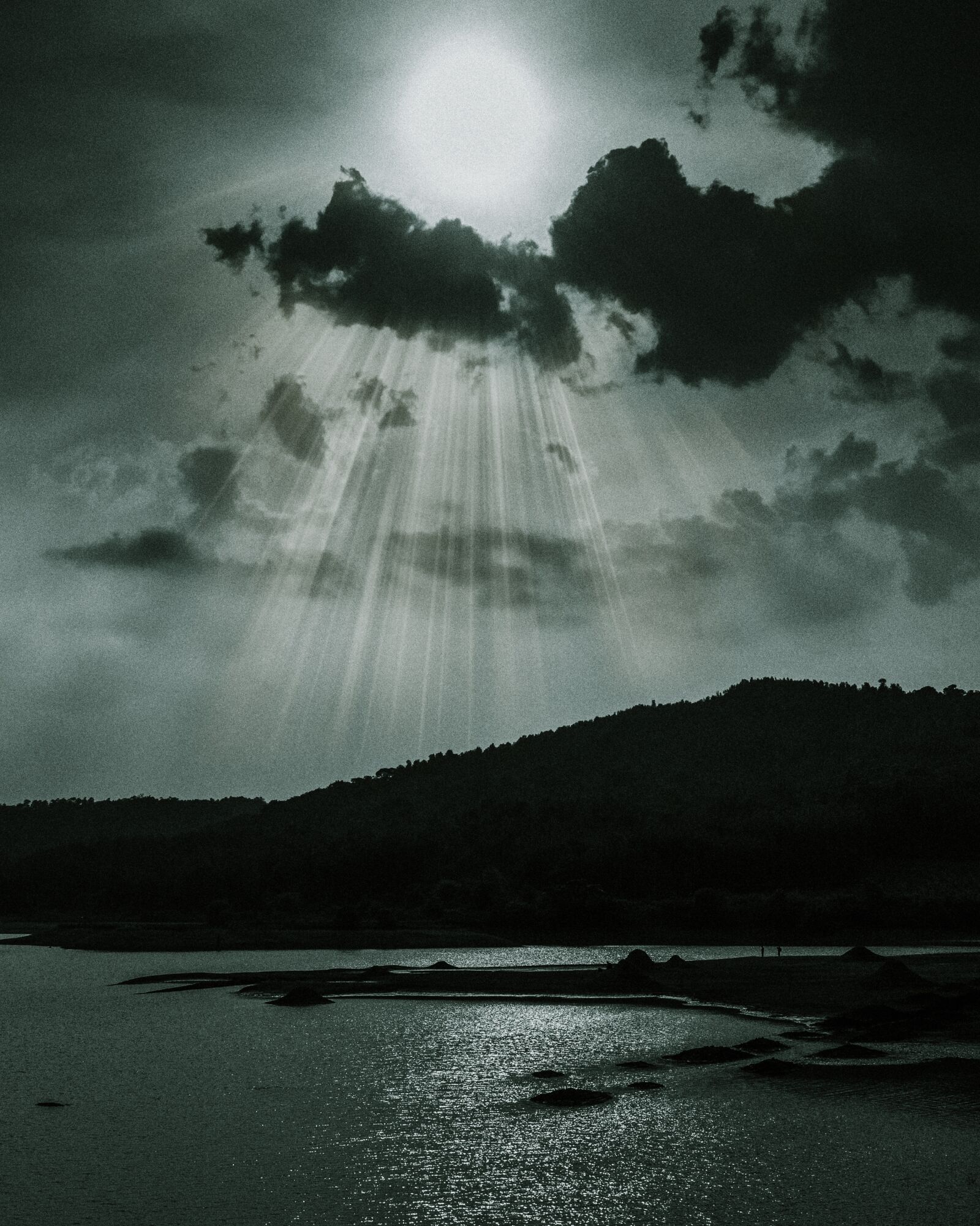 Nikon D5200 sample photo. Rays of sun, beauty photography