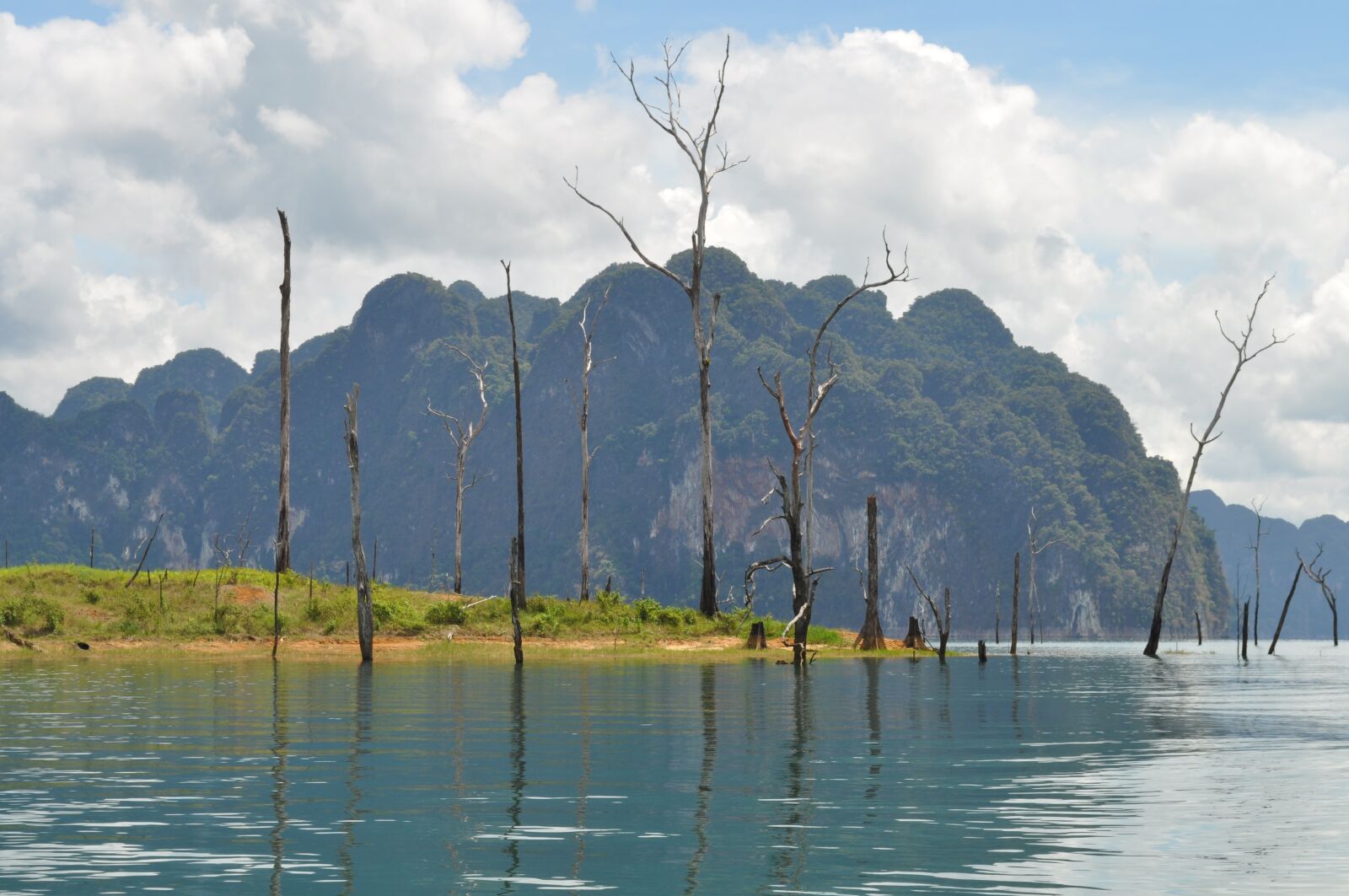 Nikon D5000 sample photo. Dali, lake, tree photography