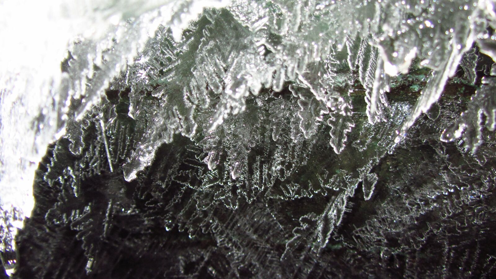 Canon PowerShot SX220 HS sample photo. Ice crystal, cold, frost photography