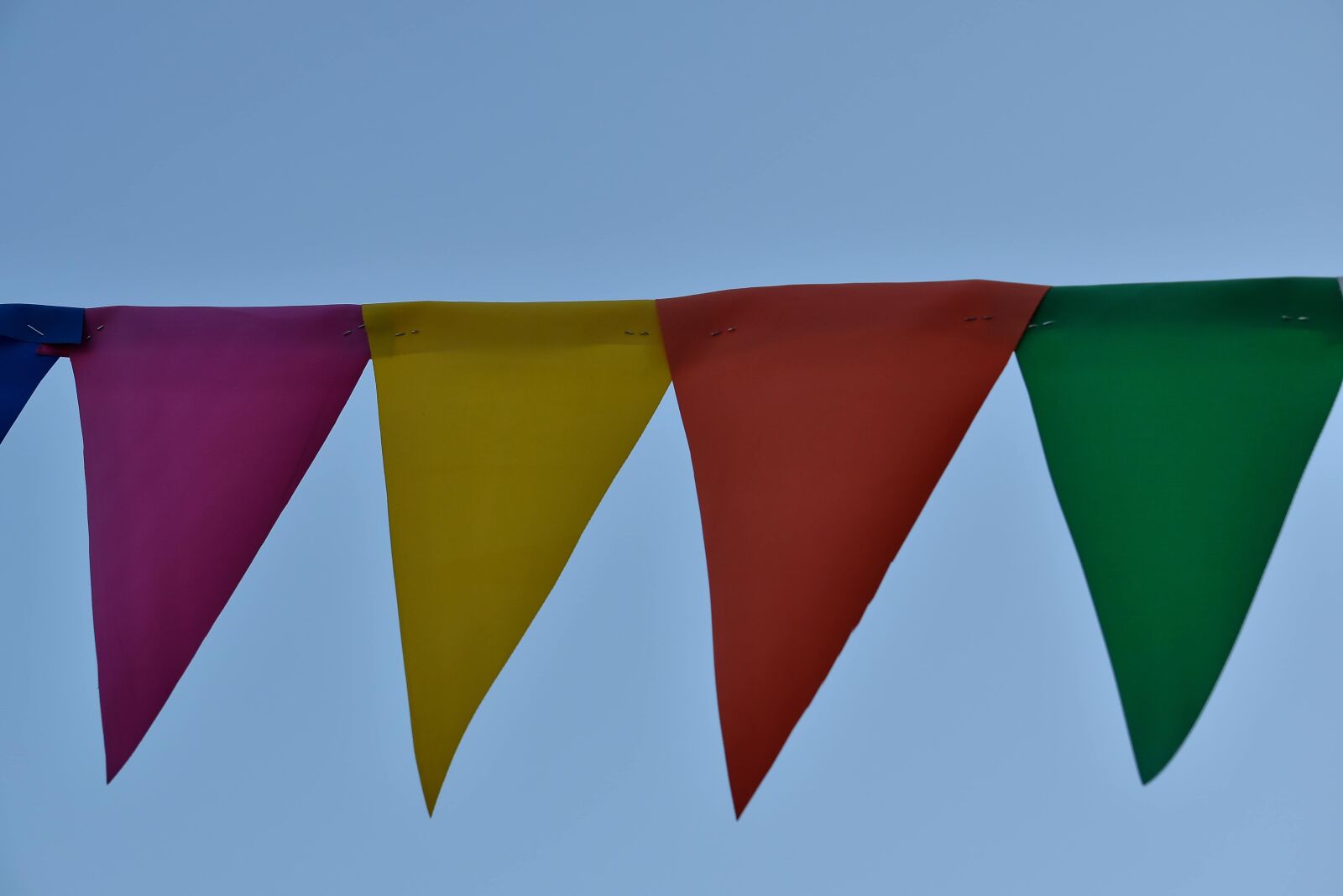 Nikon D5500 sample photo. Emblem, flag, wind, hanging photography