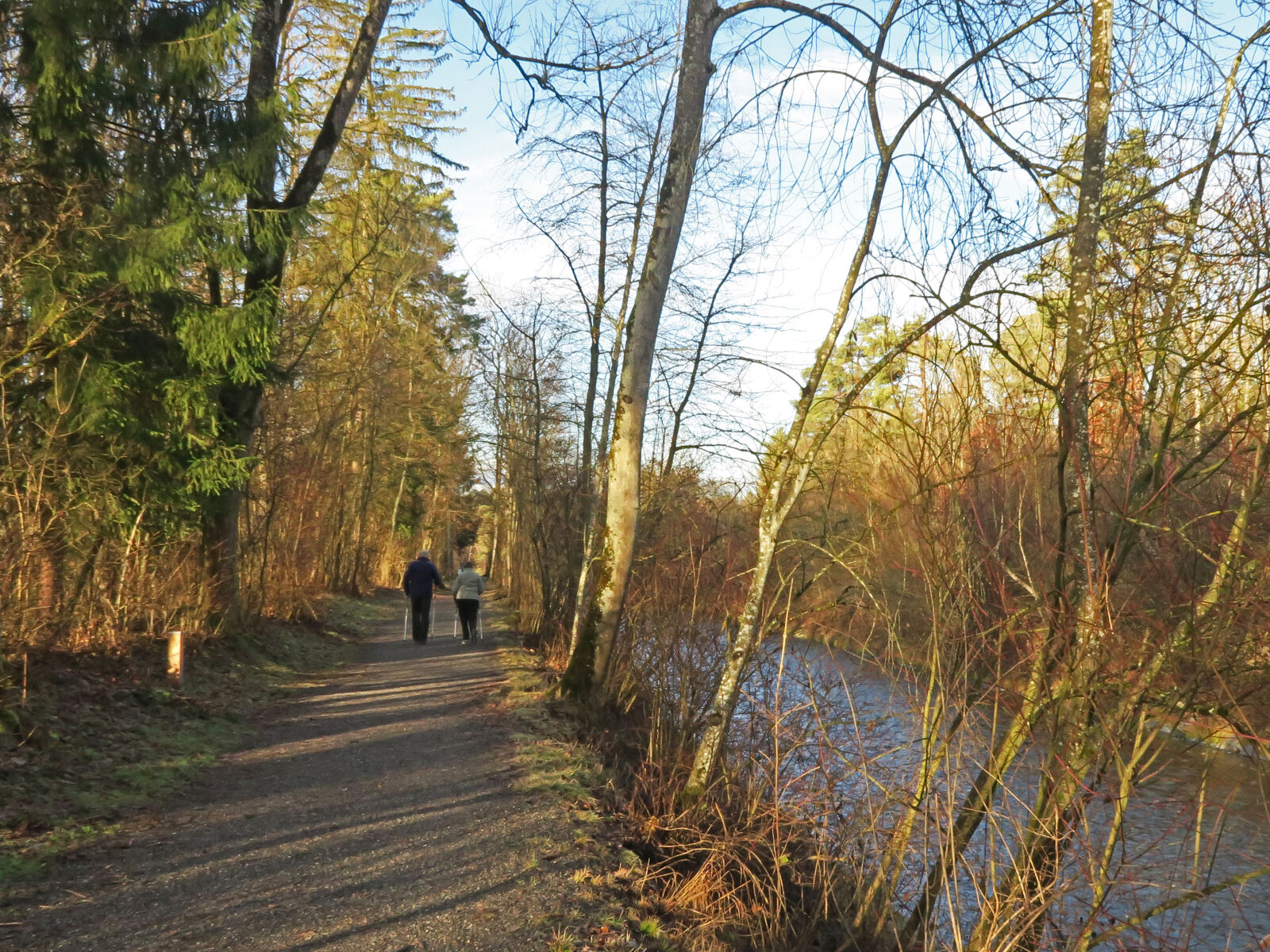 Canon PowerShot G7 X sample photo. Path, river, trees, woodland photography