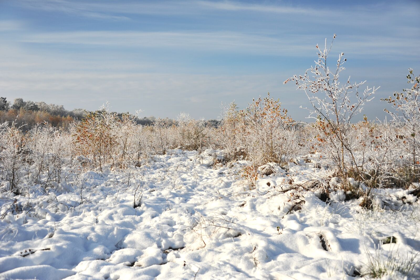 Nikon D3S sample photo. Landscape, peat, moor photography