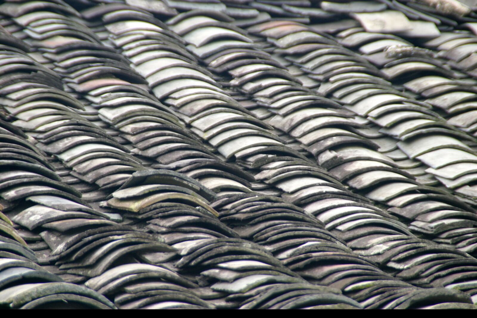 Canon EOS 10D sample photo. Roof, china, dragon photography