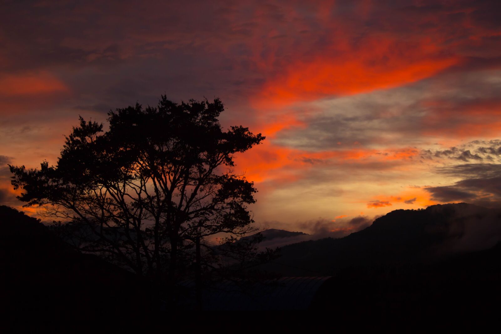 Canon EOS 750D (EOS Rebel T6i / EOS Kiss X8i) sample photo. Tree, landscape, sunset photography