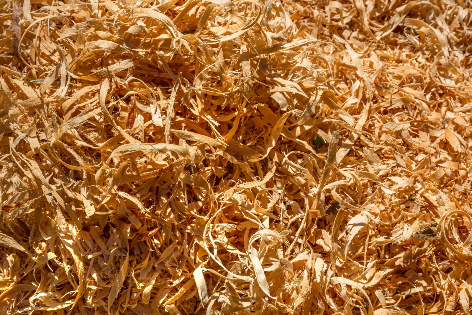 Canon EOS 6D + Canon EF 50mm F1.8 STM sample photo. Wood chips, saw, wood photography