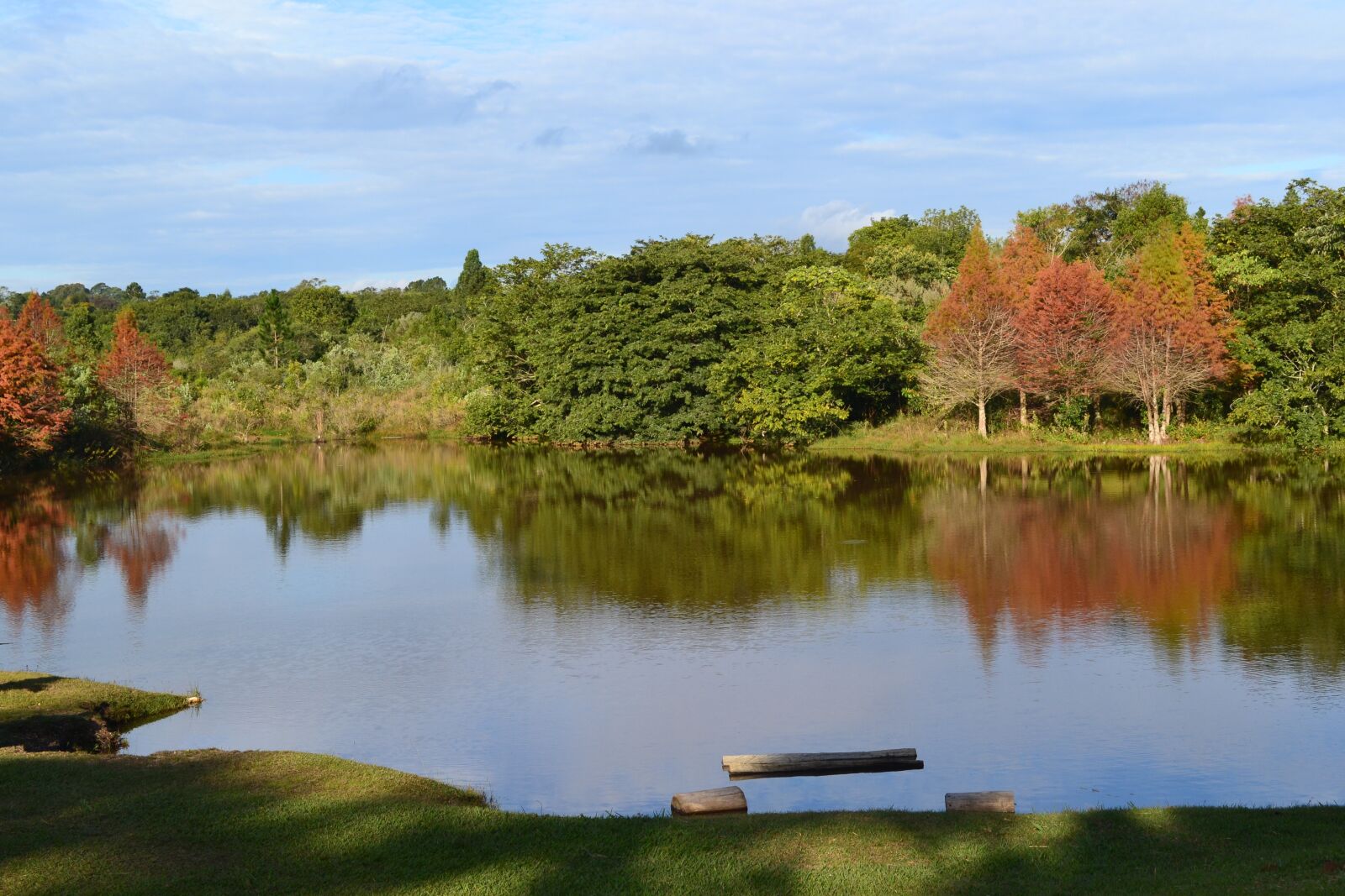 Nikon D3100 sample photo. D metria, botucatu, interior photography
