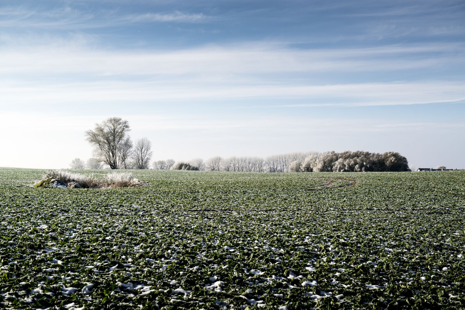 Nikon D800 sample photo. Field, harvest, nature photography