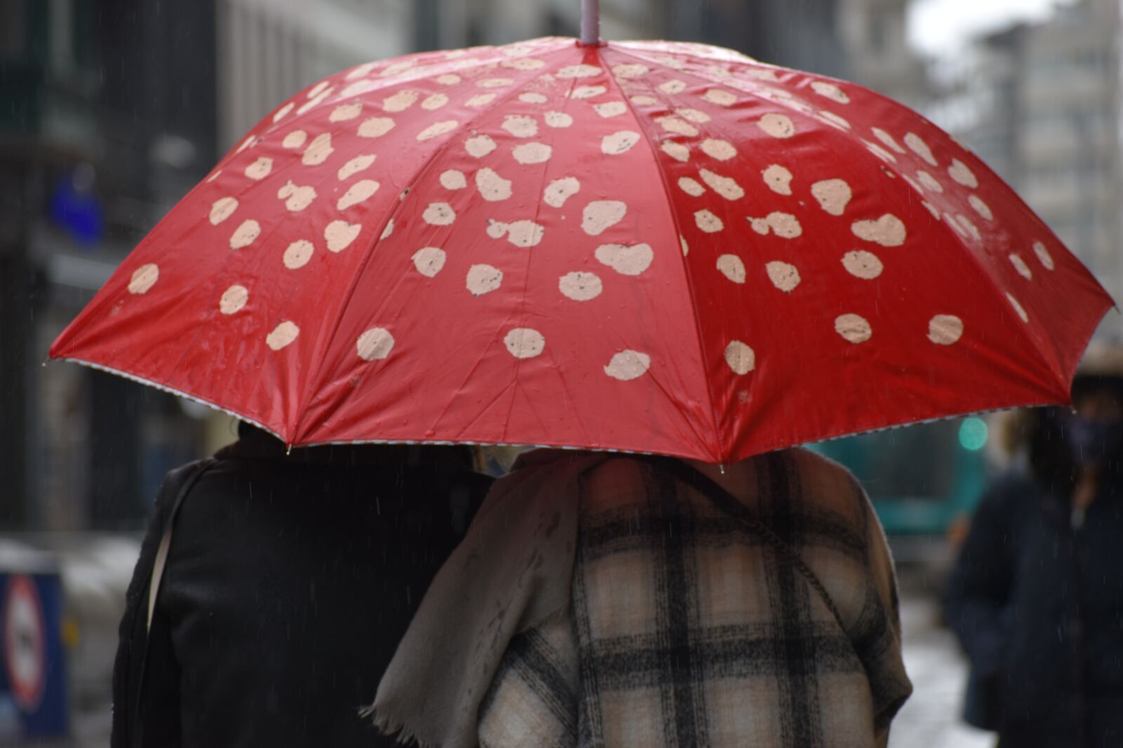 Nikon D3500 sample photo. Rain, umbrella, together photography