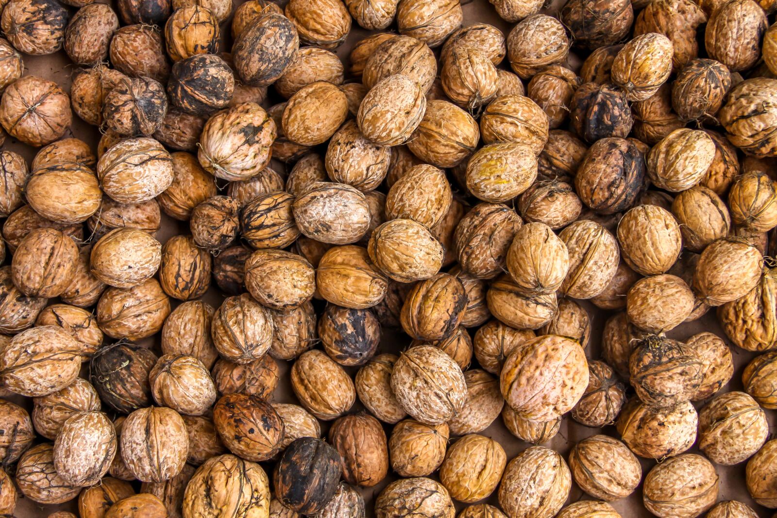 Canon EF-S 17-85mm F4-5.6 IS USM sample photo. Walnuts, healthy, food photography