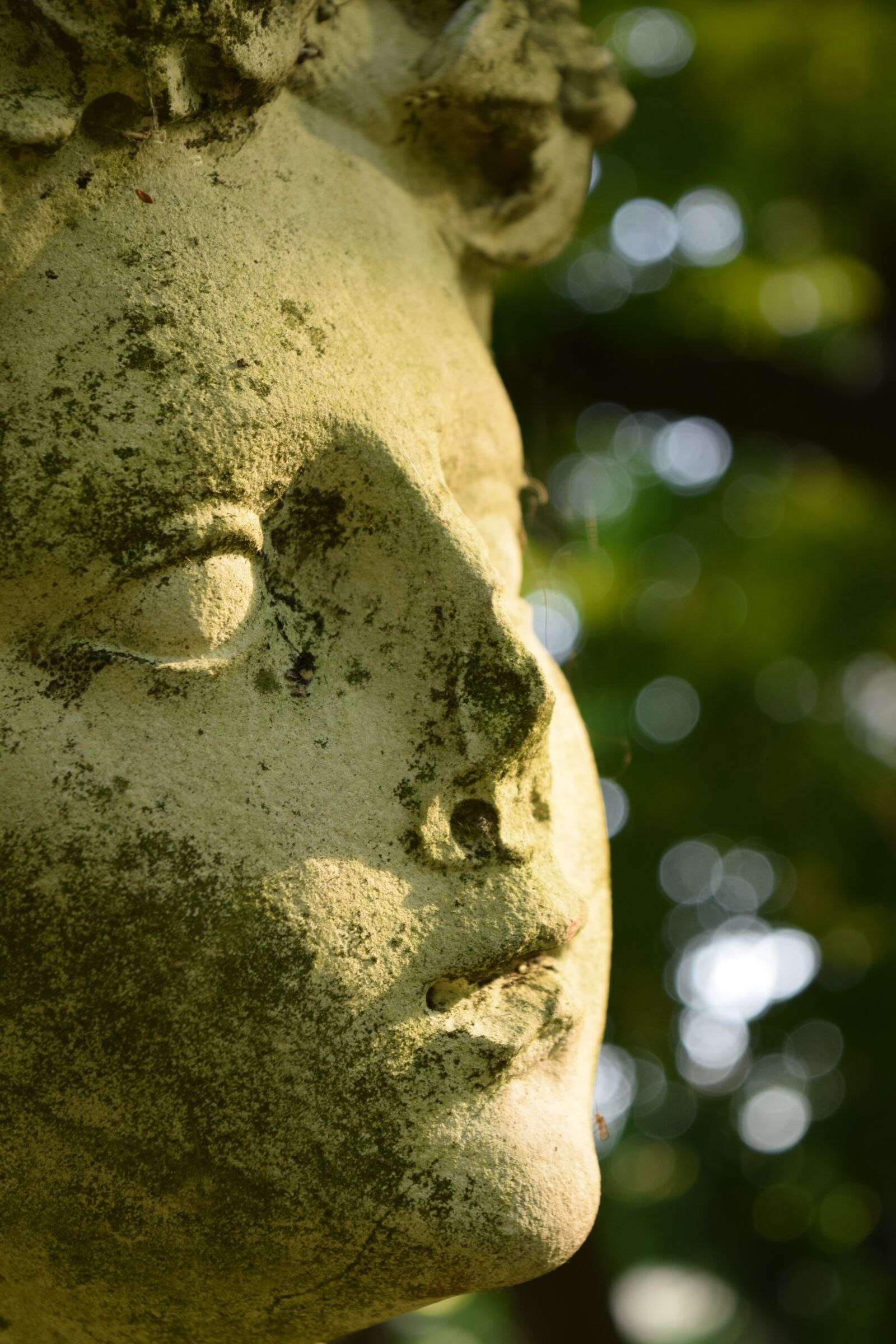 Nikon D3300 sample photo. Woman's head, statue, stone photography