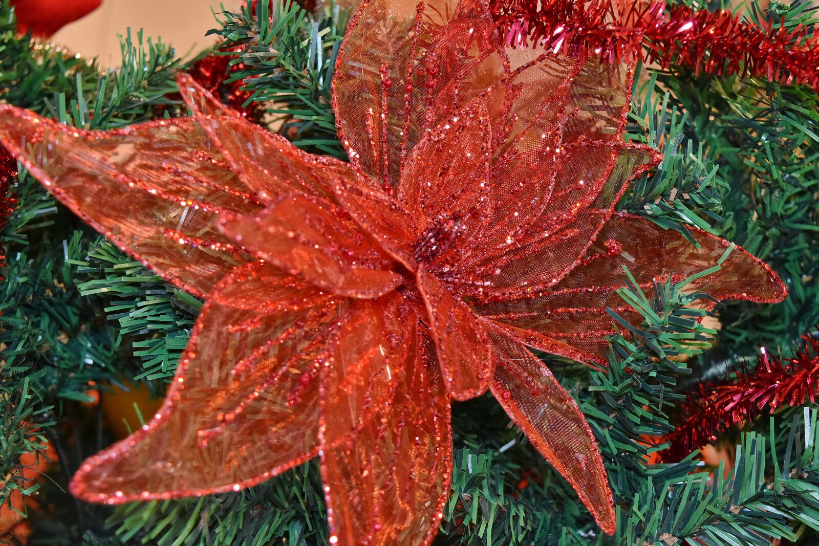Nikon D5500 sample photo. Branches, christmas tree, conifers photography