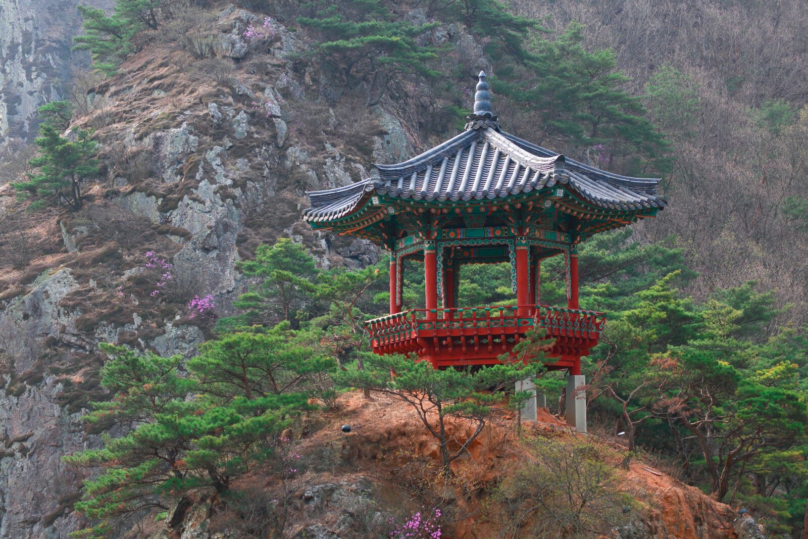 Canon EF 100-400mm F4.5-5.6L IS USM sample photo. Palgakjeong, korea, november set photography