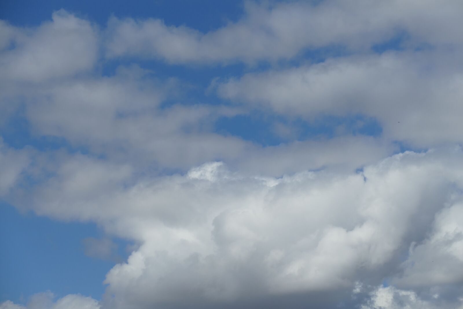 Panasonic Lumix DMC-FZ1000 sample photo. Sky, clouds, blue photography