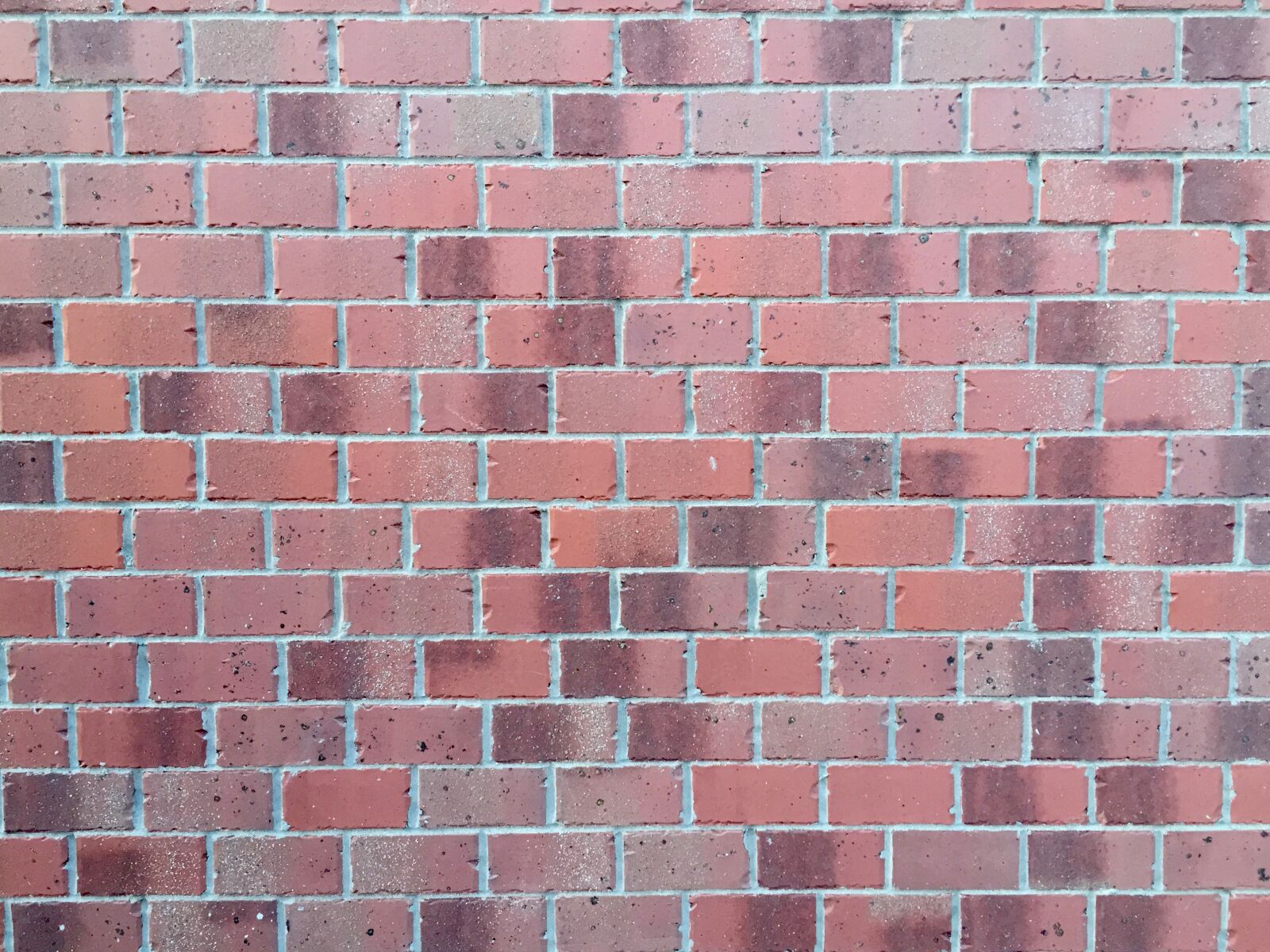 iPhone 6 back camera 4.15mm f/2.2 sample photo. Brick, wall, texture photography