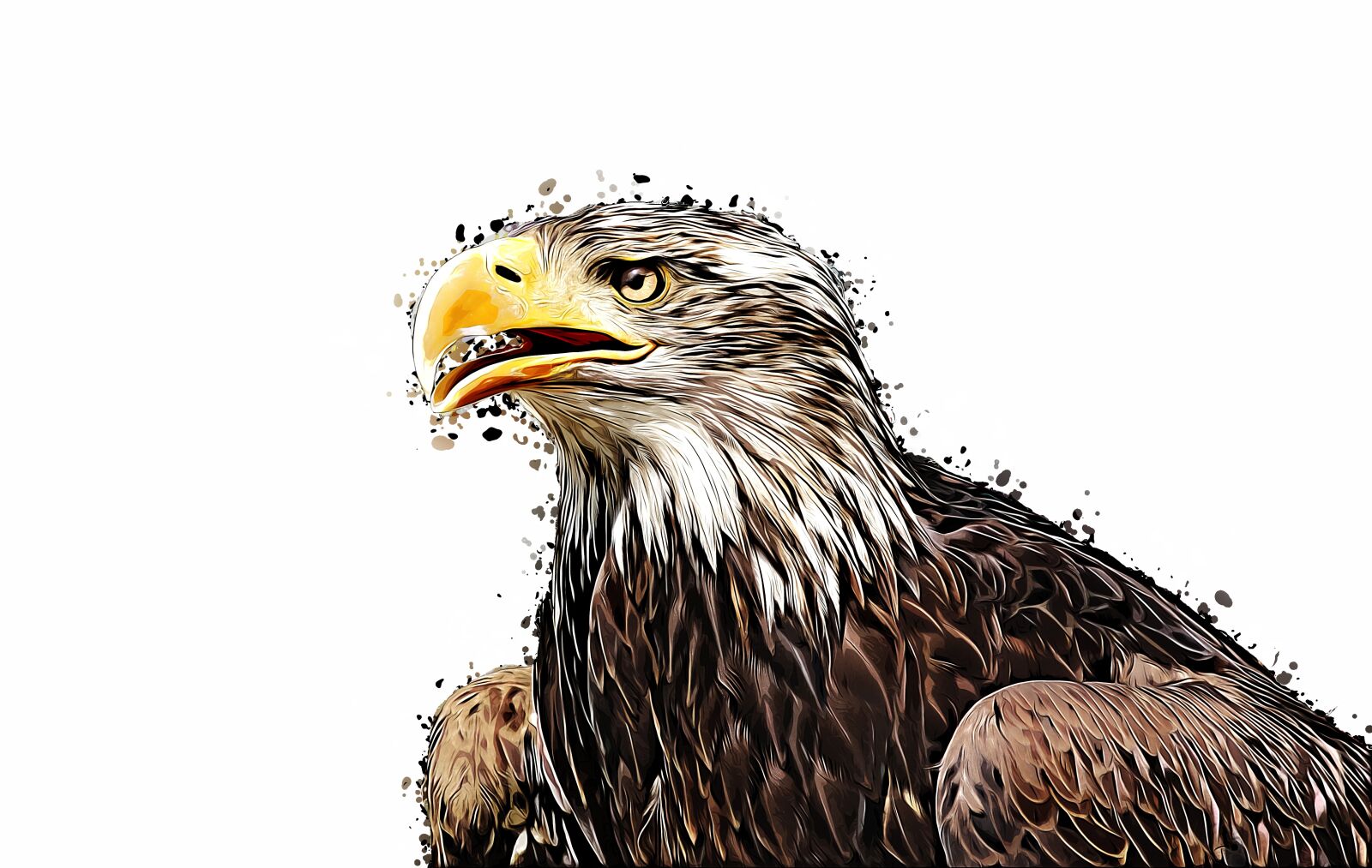 Canon EOS 700D (EOS Rebel T5i / EOS Kiss X7i) sample photo. Golden eagle, bird, cartoon photography