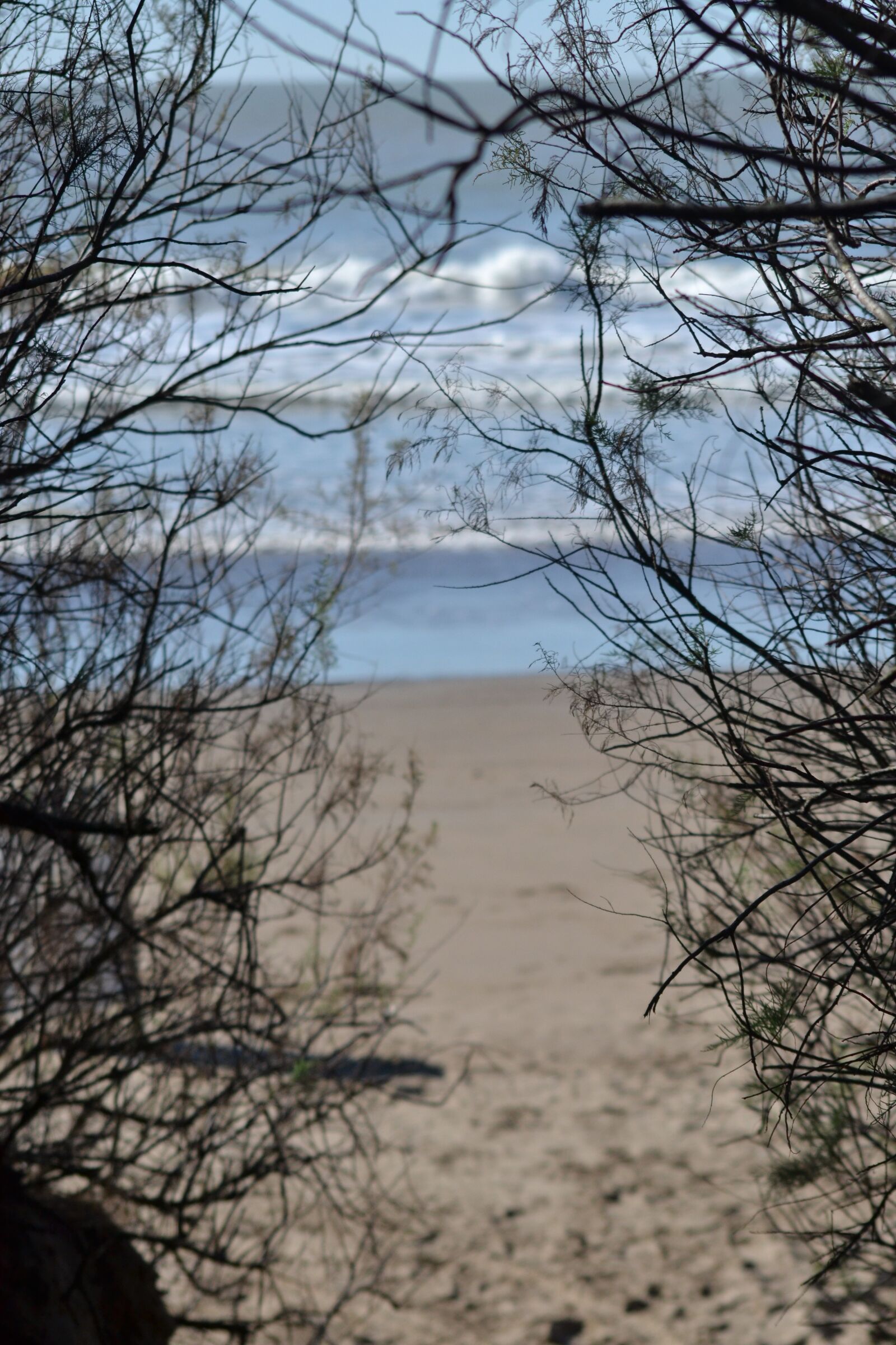 Nikon D3100 sample photo. Mar, oceano, playa photography