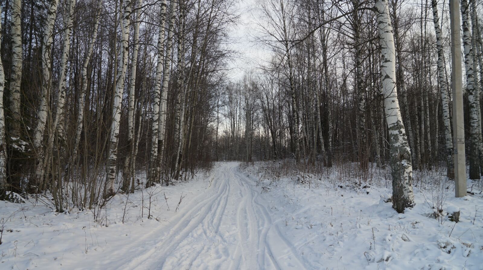 Sony SLT-A57 sample photo. Road, forest, winter photography
