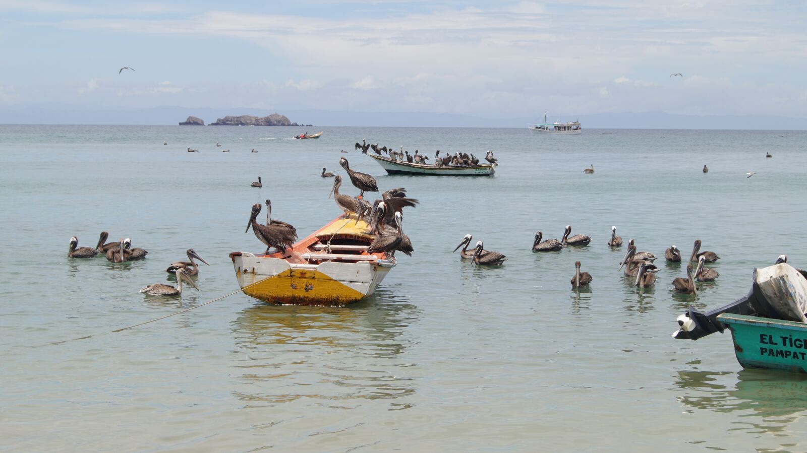 Sony DT 18-55mm F3.5-5.6 SAM II sample photo. Boat, boats, pelicans photography