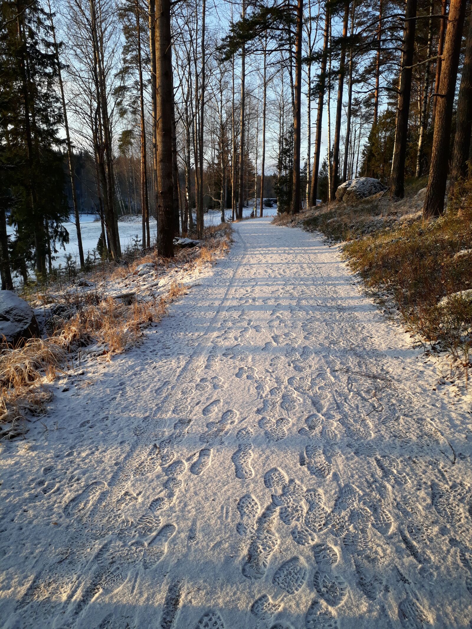 Samsung Galaxy A3(2017) sample photo. The path, winter, nature photography