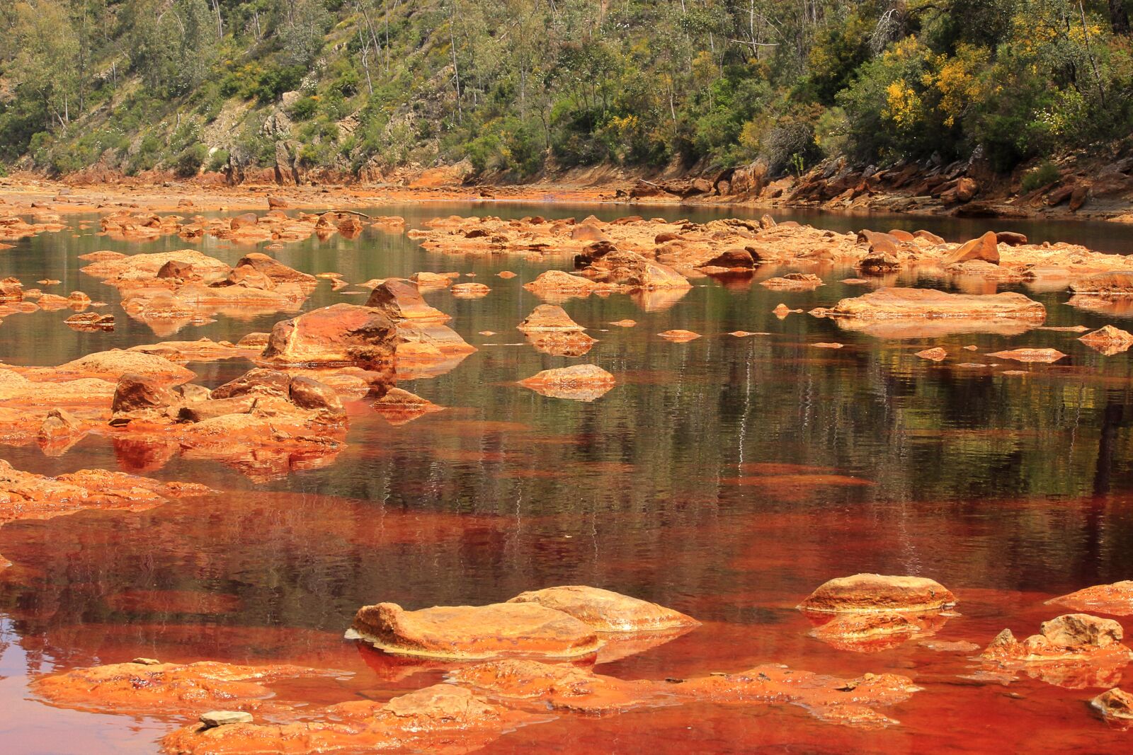 Canon EOS 600D (Rebel EOS T3i / EOS Kiss X5) sample photo. Red river, huelva, nature photography