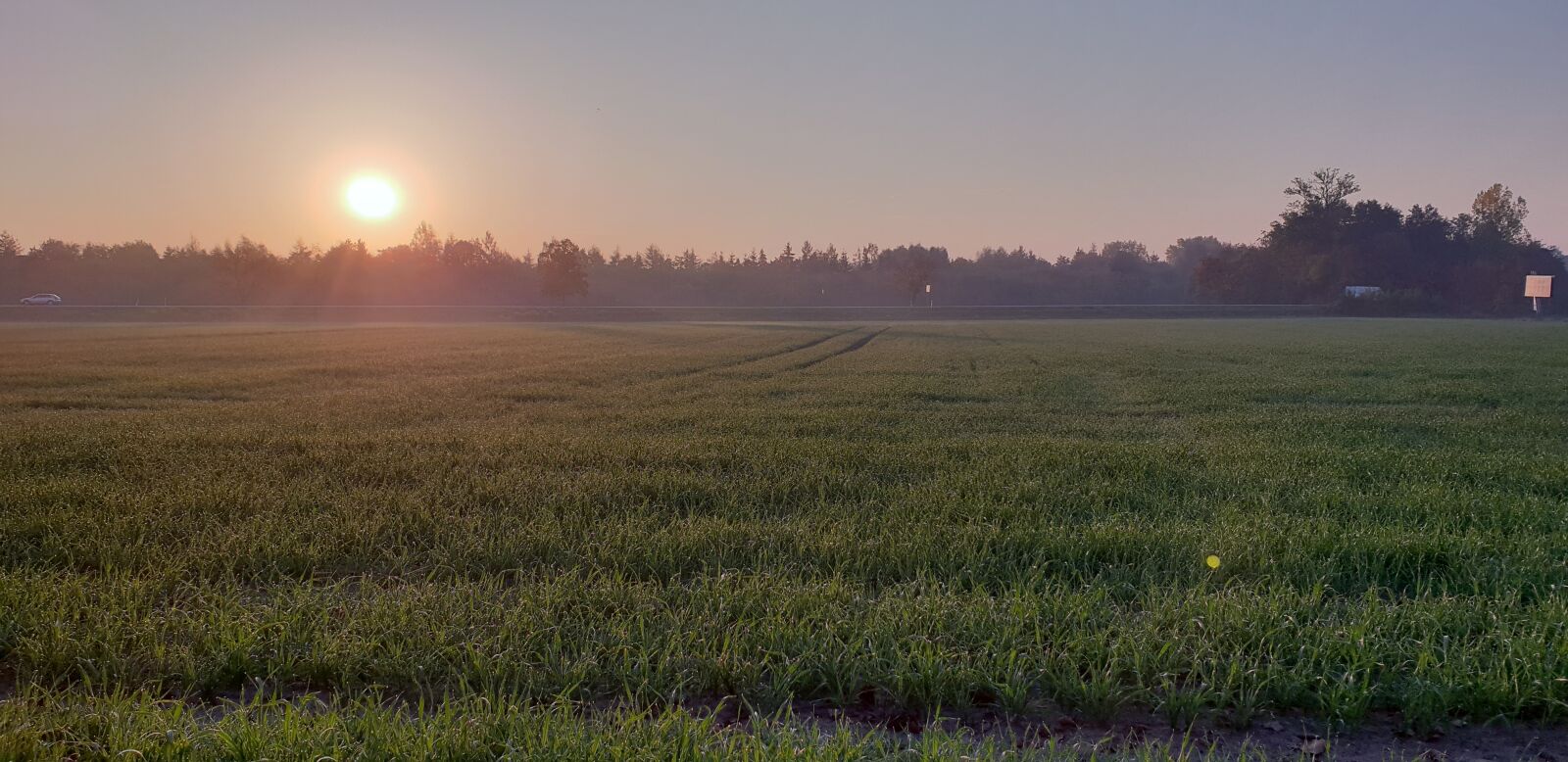 Samsung Galaxy S9+ sample photo. Landscape, east, field photography