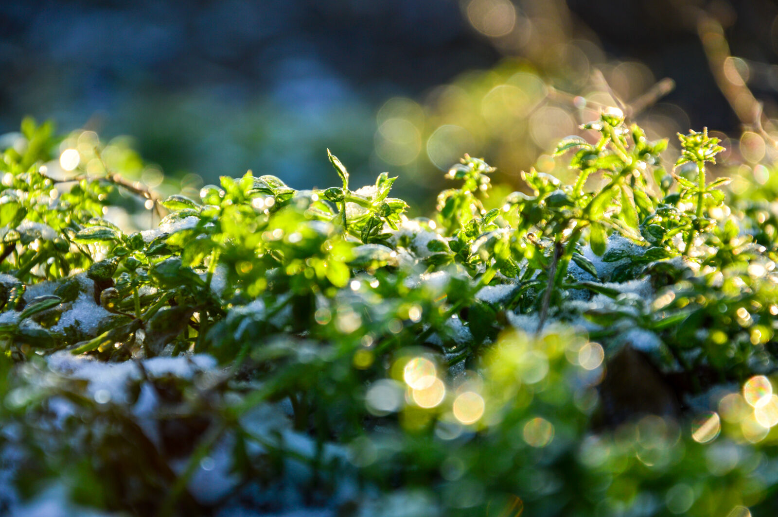 Nikon D3200 sample photo