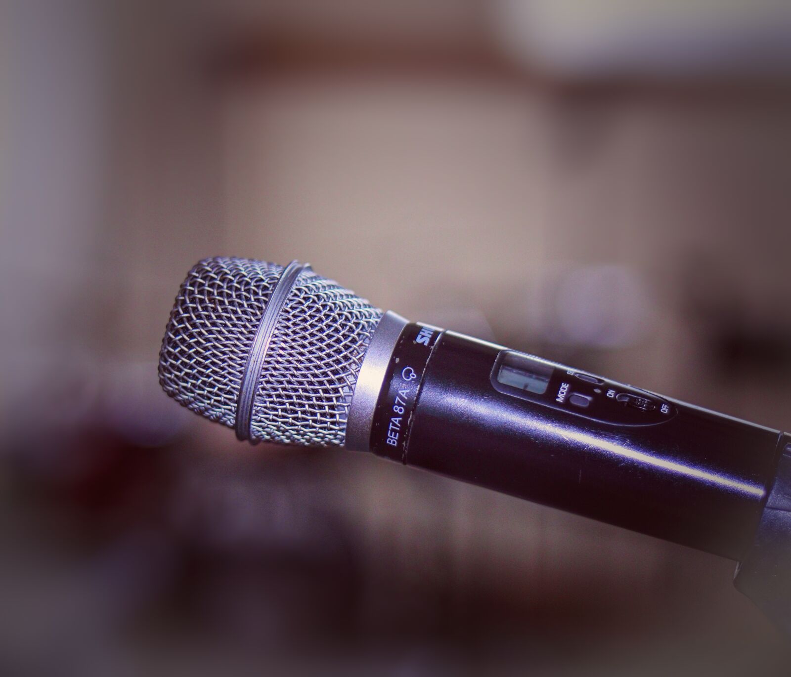 Canon EOS 250D (EOS Rebel SL3 / EOS Kiss X10 / EOS 200D II) sample photo. Microphone, mic, speech photography