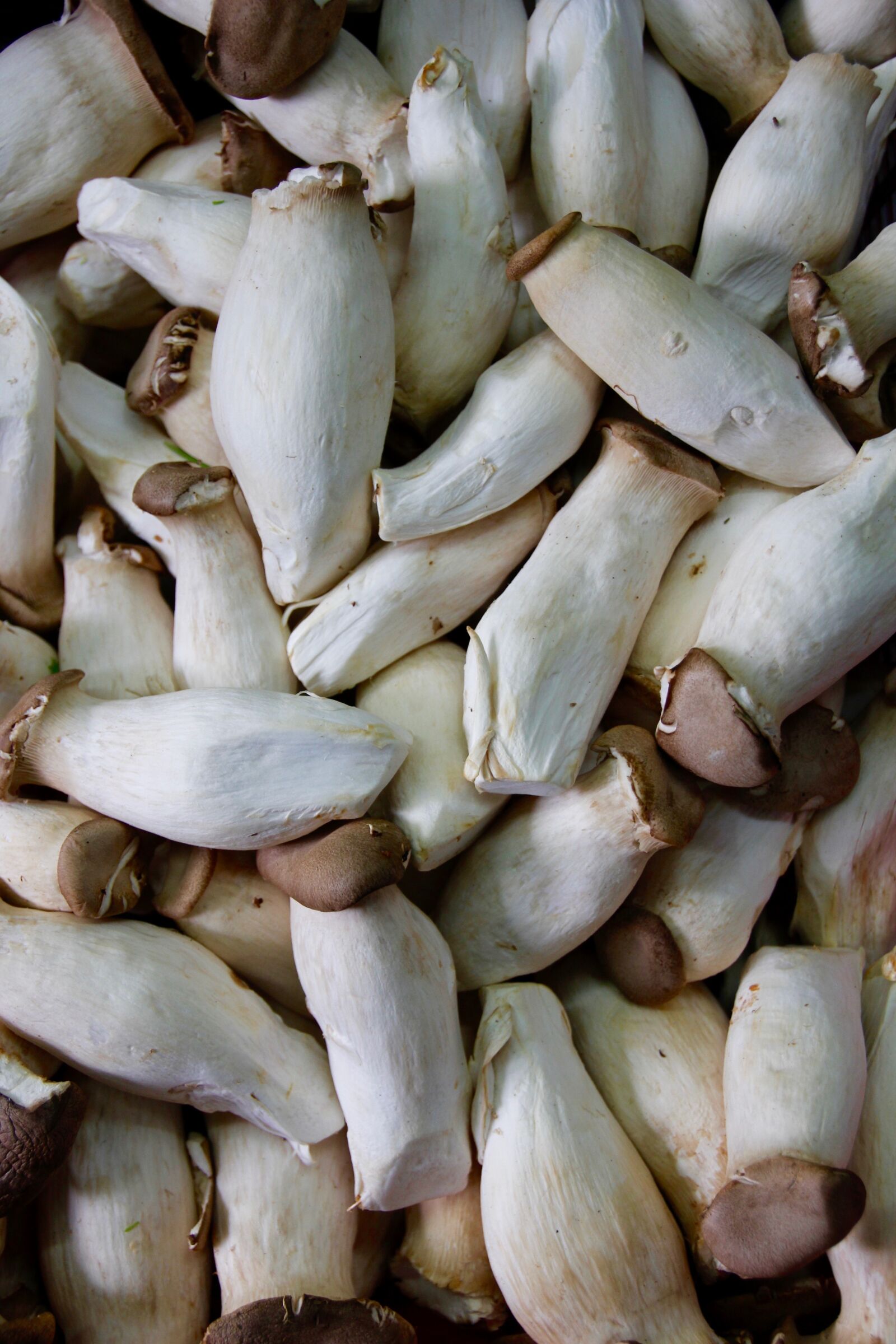 Canon EOS 60D sample photo. Mushrooms, delicious, market photography
