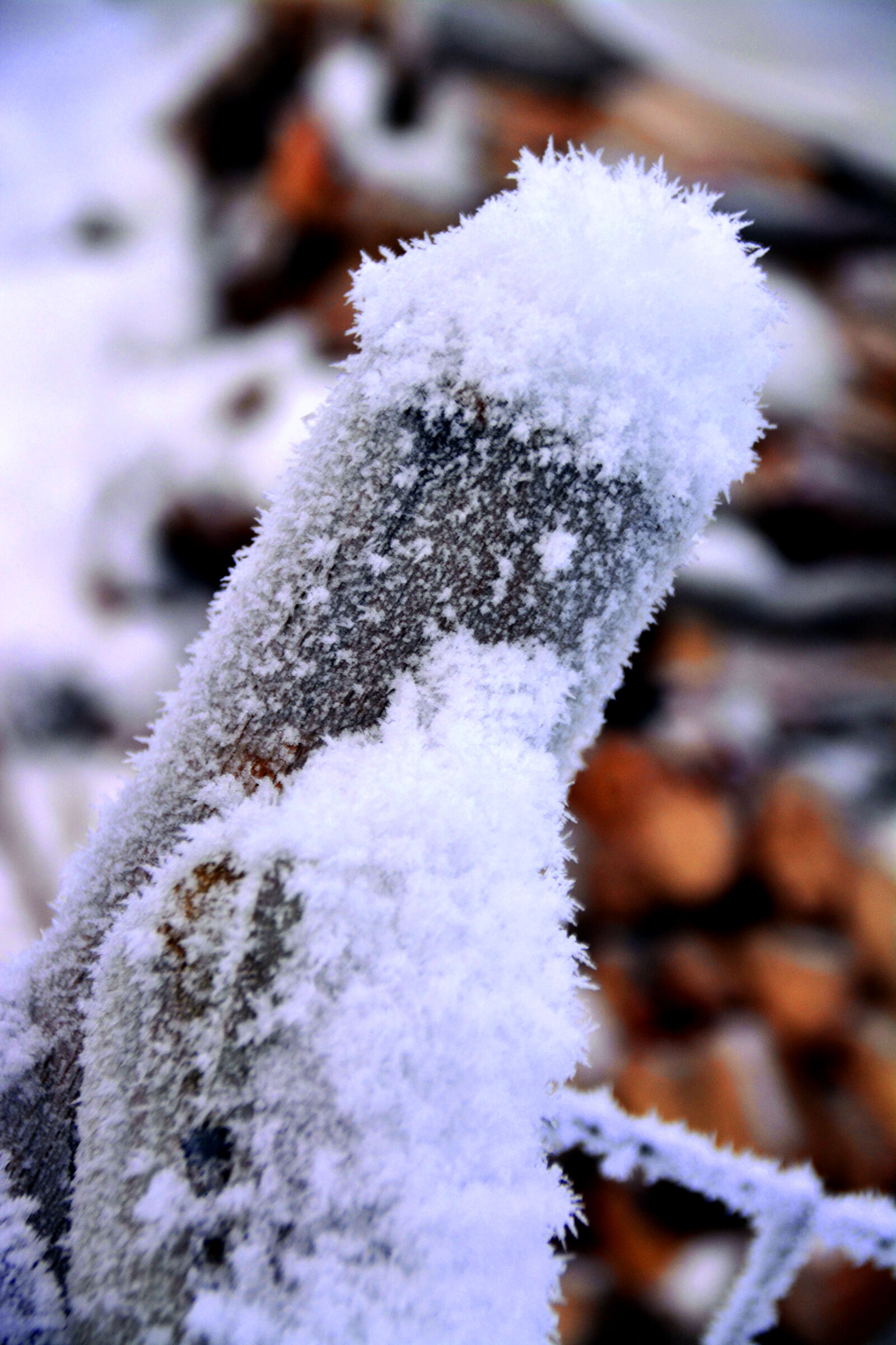 Nikon D5200 sample photo. Calm, relaxing, snow, winter photography